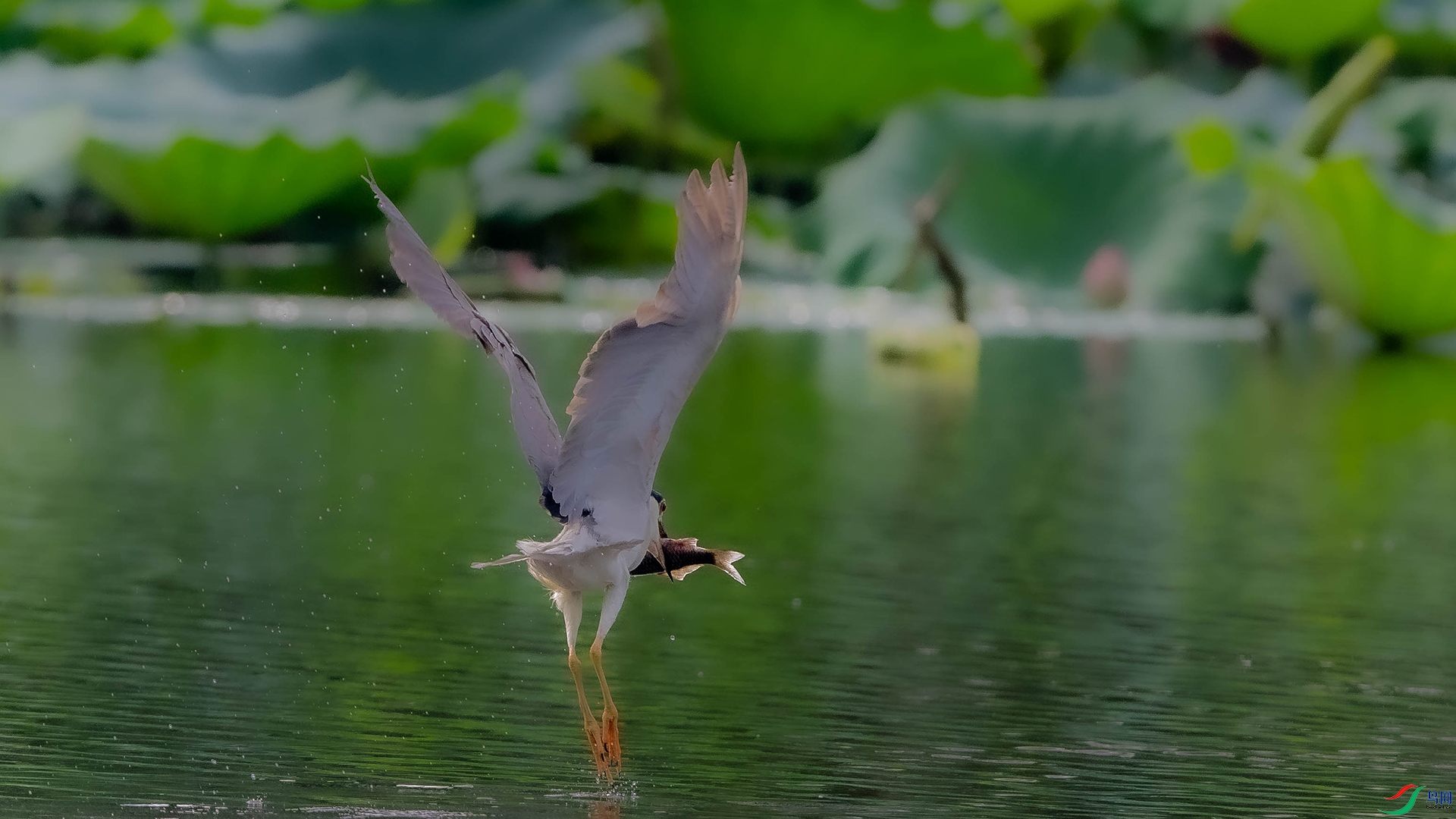 DSC_0740.jpg