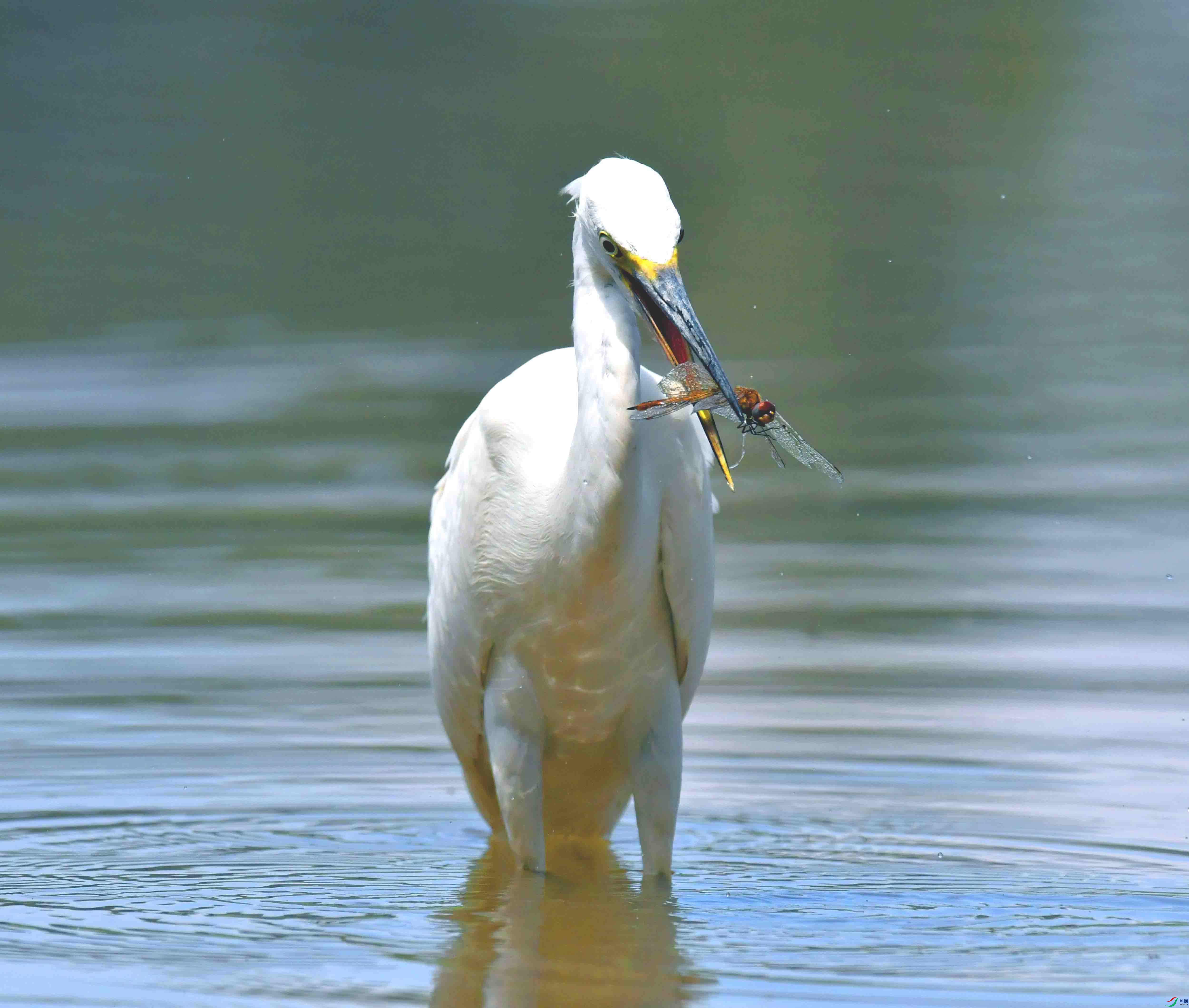 DSC_9012.JPG