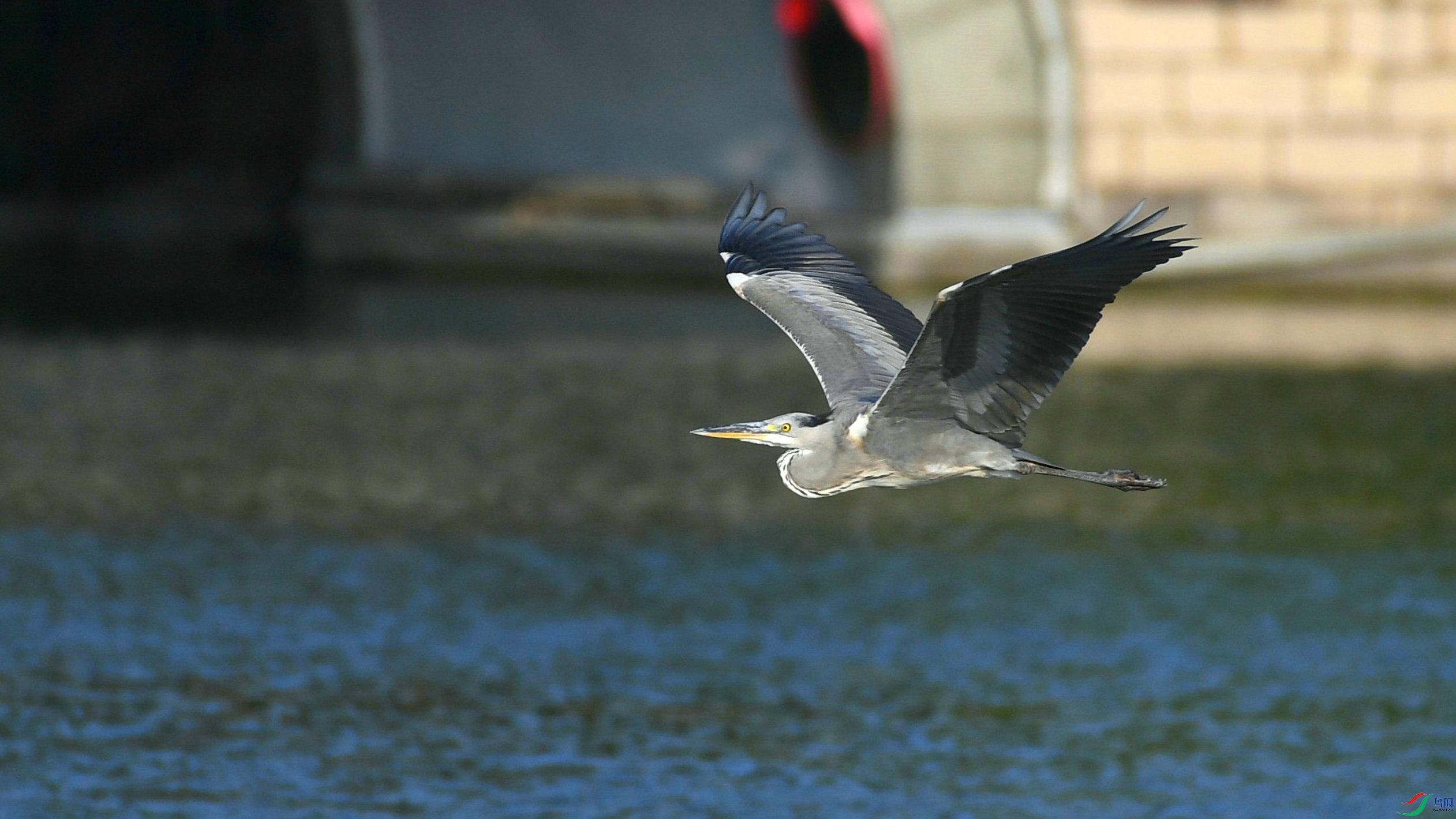 DSC_8651.JPG