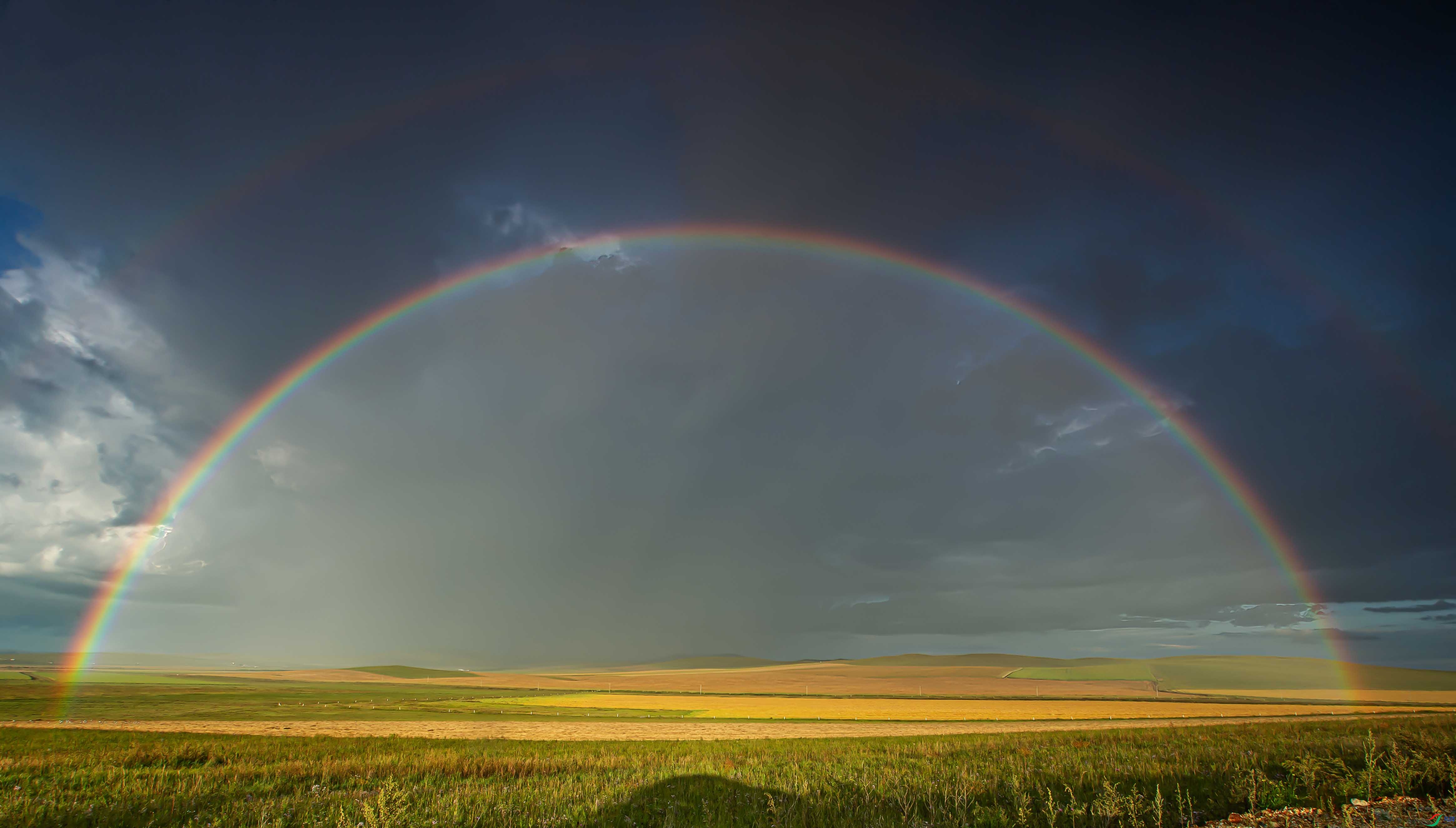 CI6W3224�ʺ�.jpg