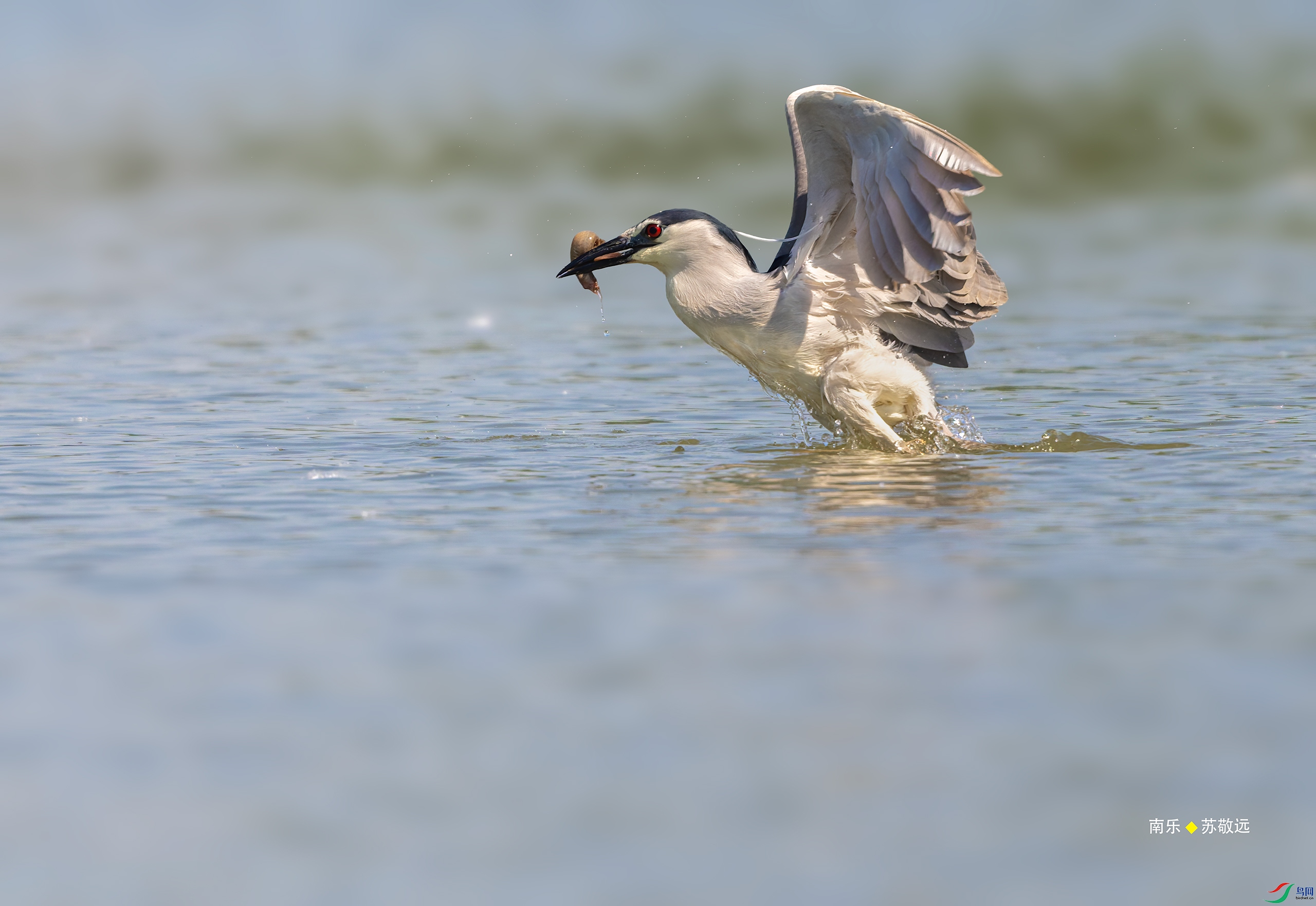 _DSC5408-DxO_С.jpg