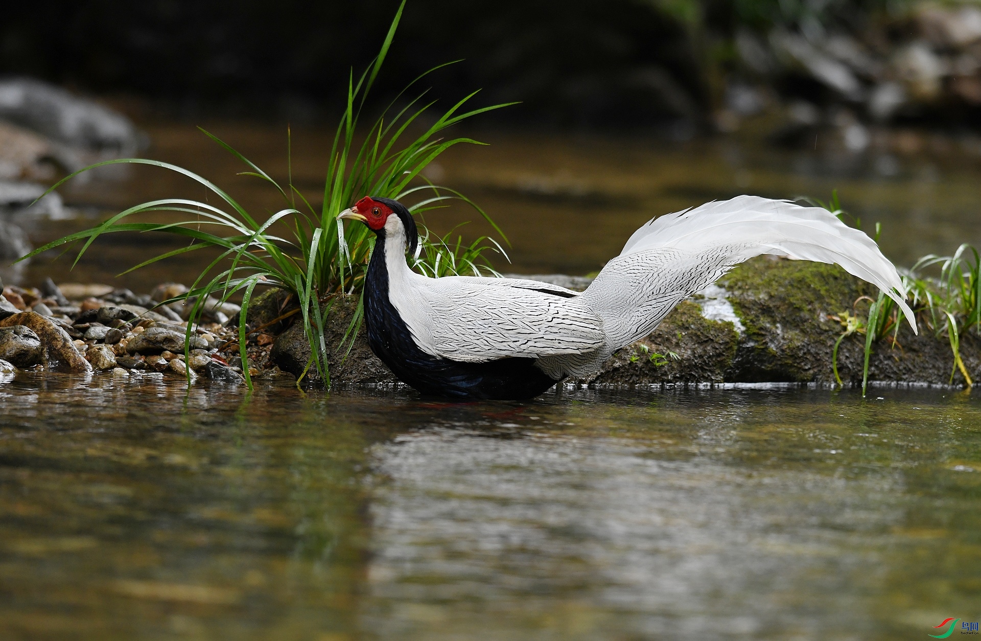 DSC_6828.jpg