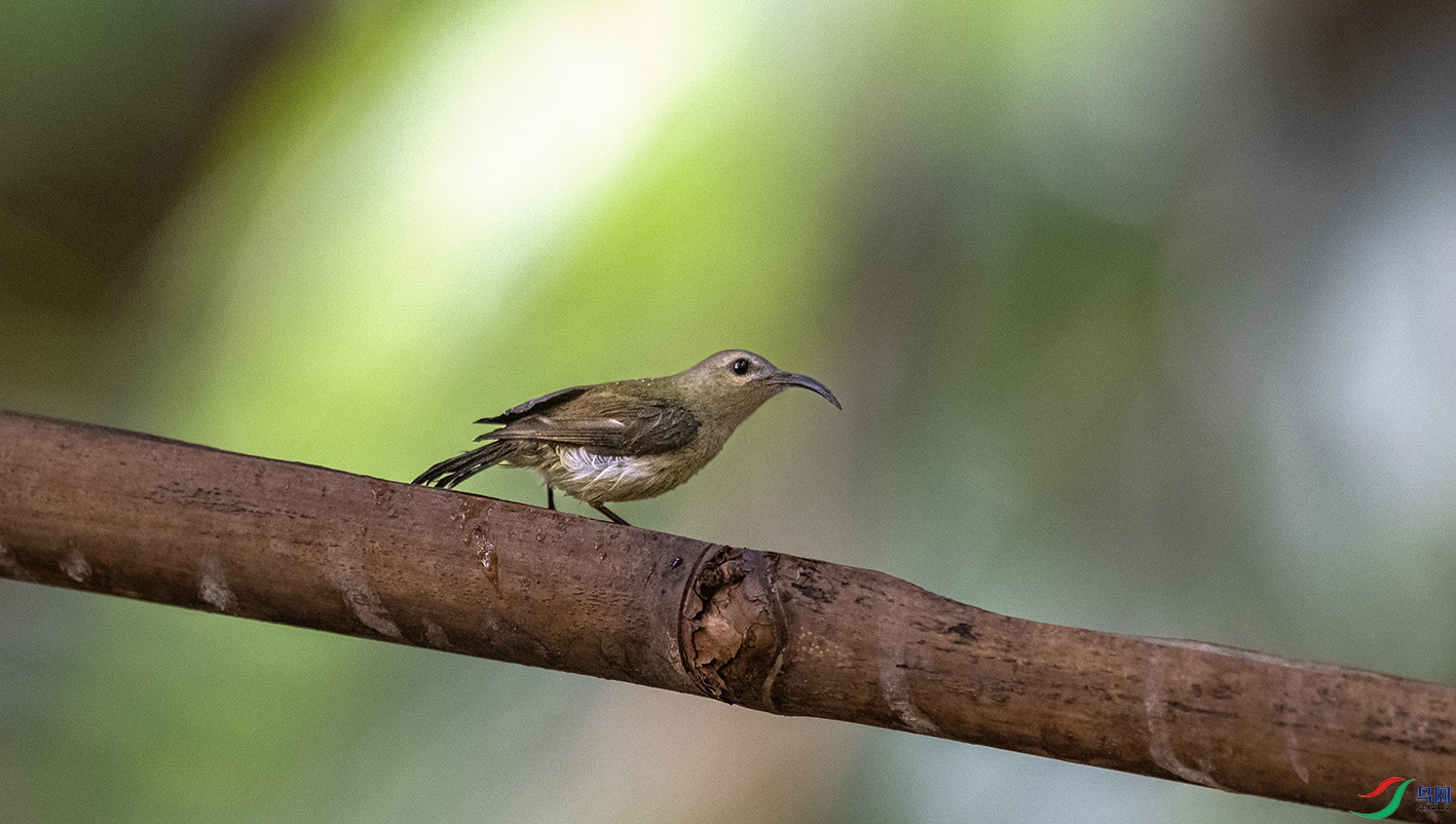 DSC_7072 ����.jpg