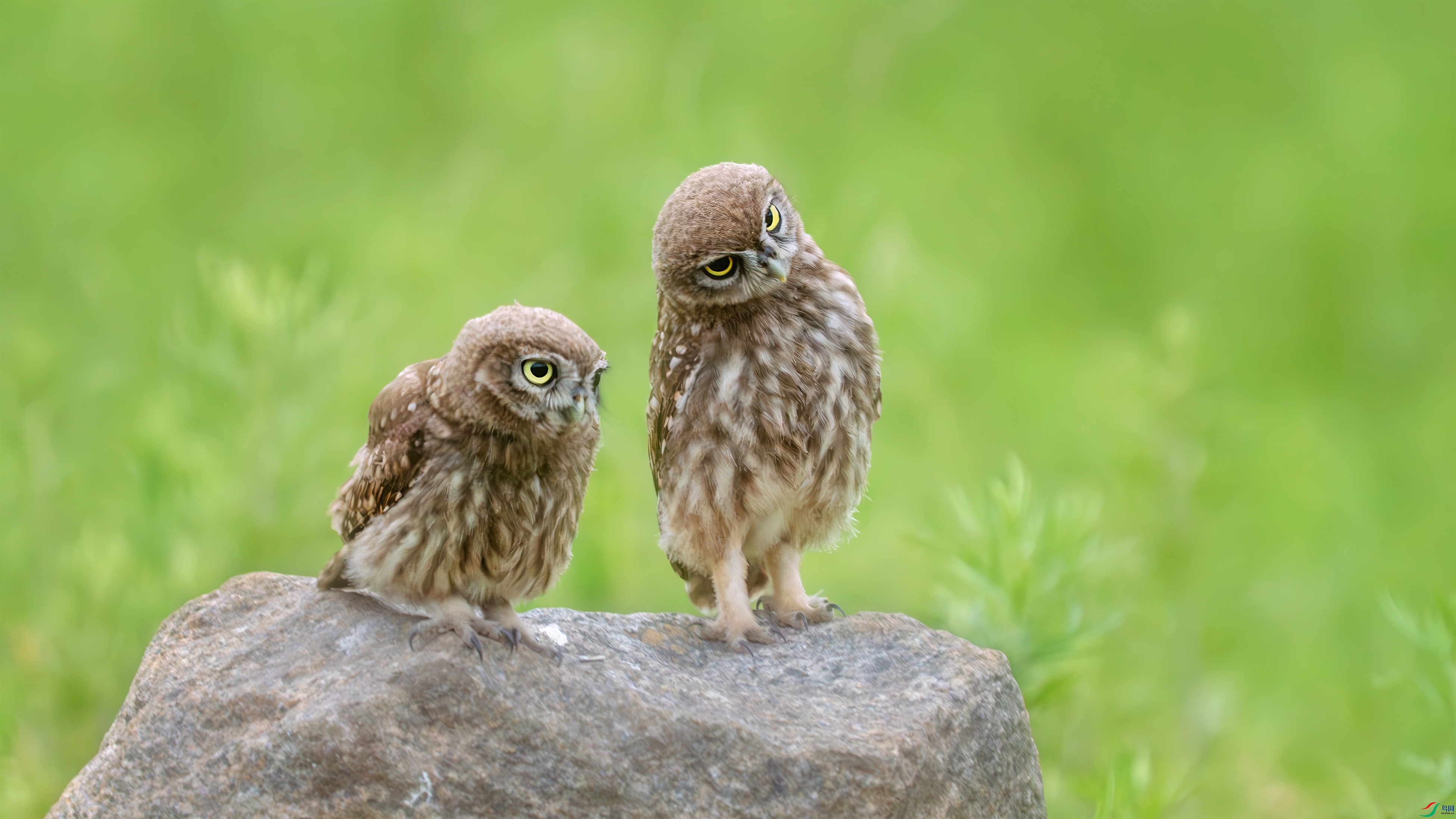 DSC03929 ����.jpg