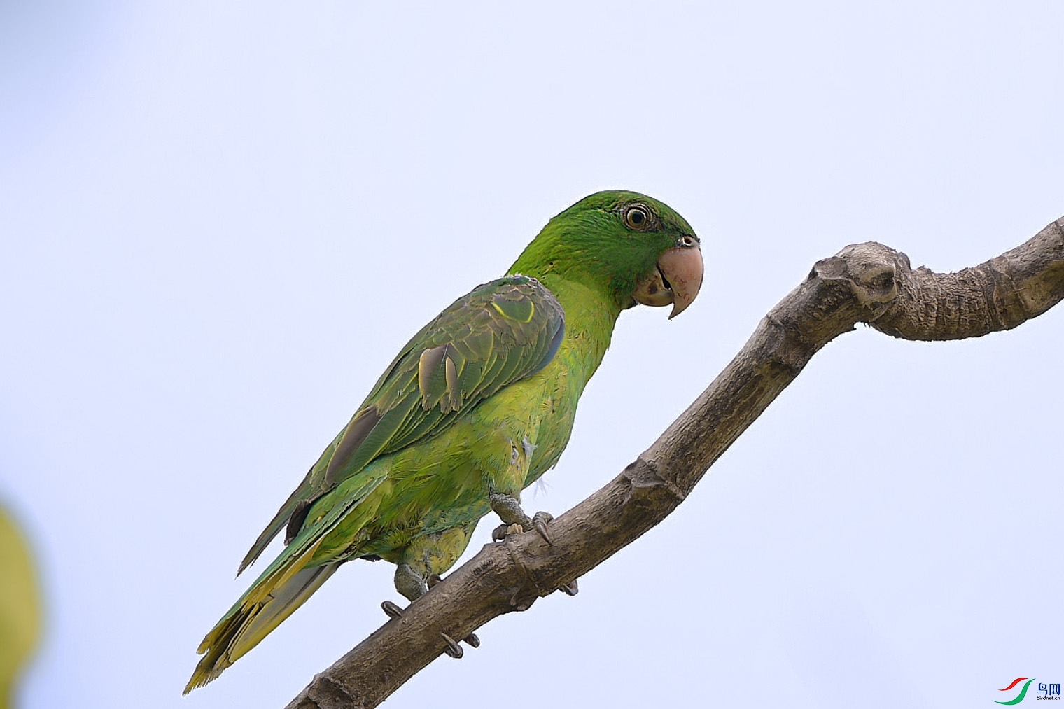 {601E03F6-FDCA-48BD-83CE-F62C711FB908} ����.jpg