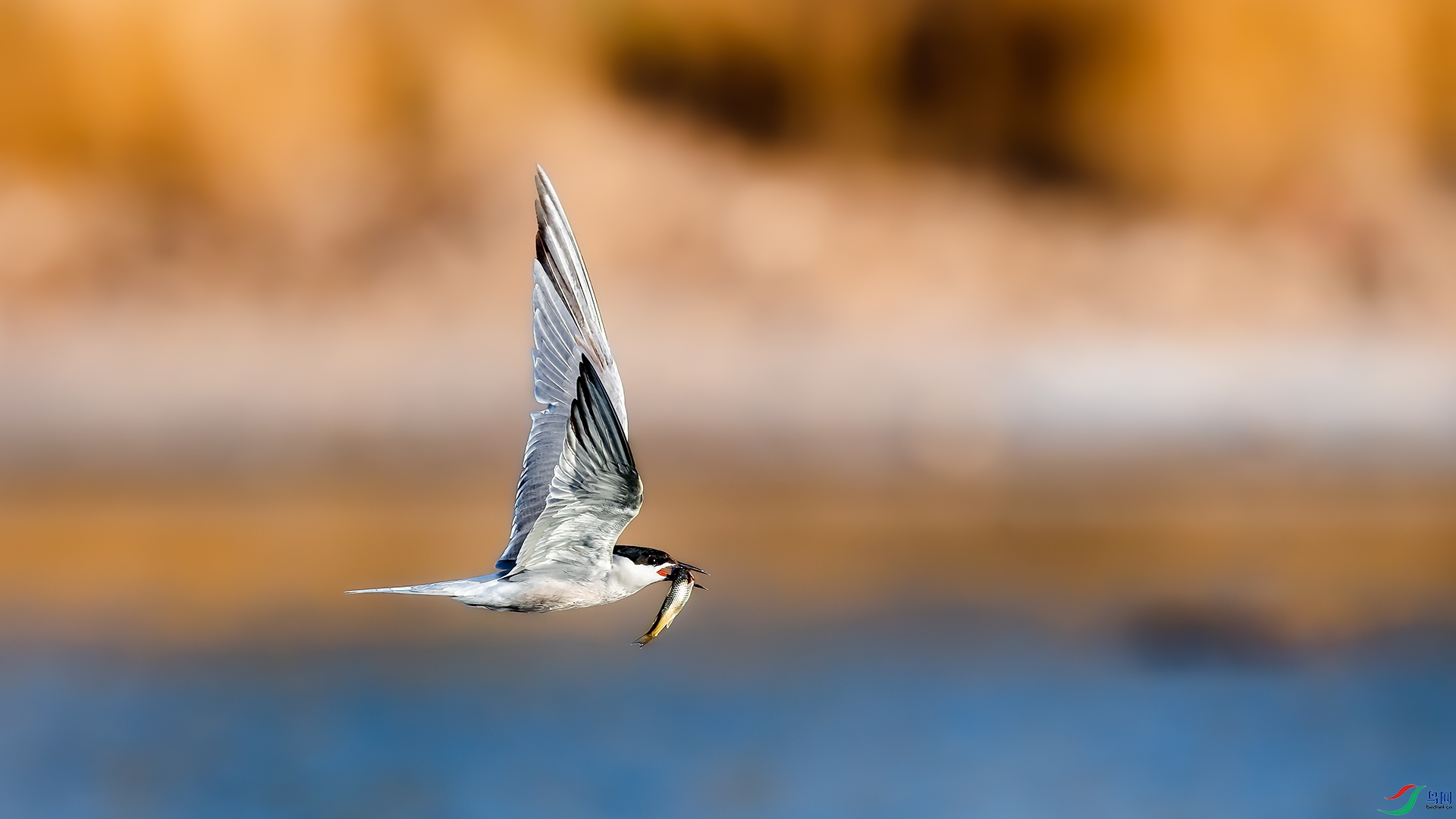 _DSC4293-2.jpg