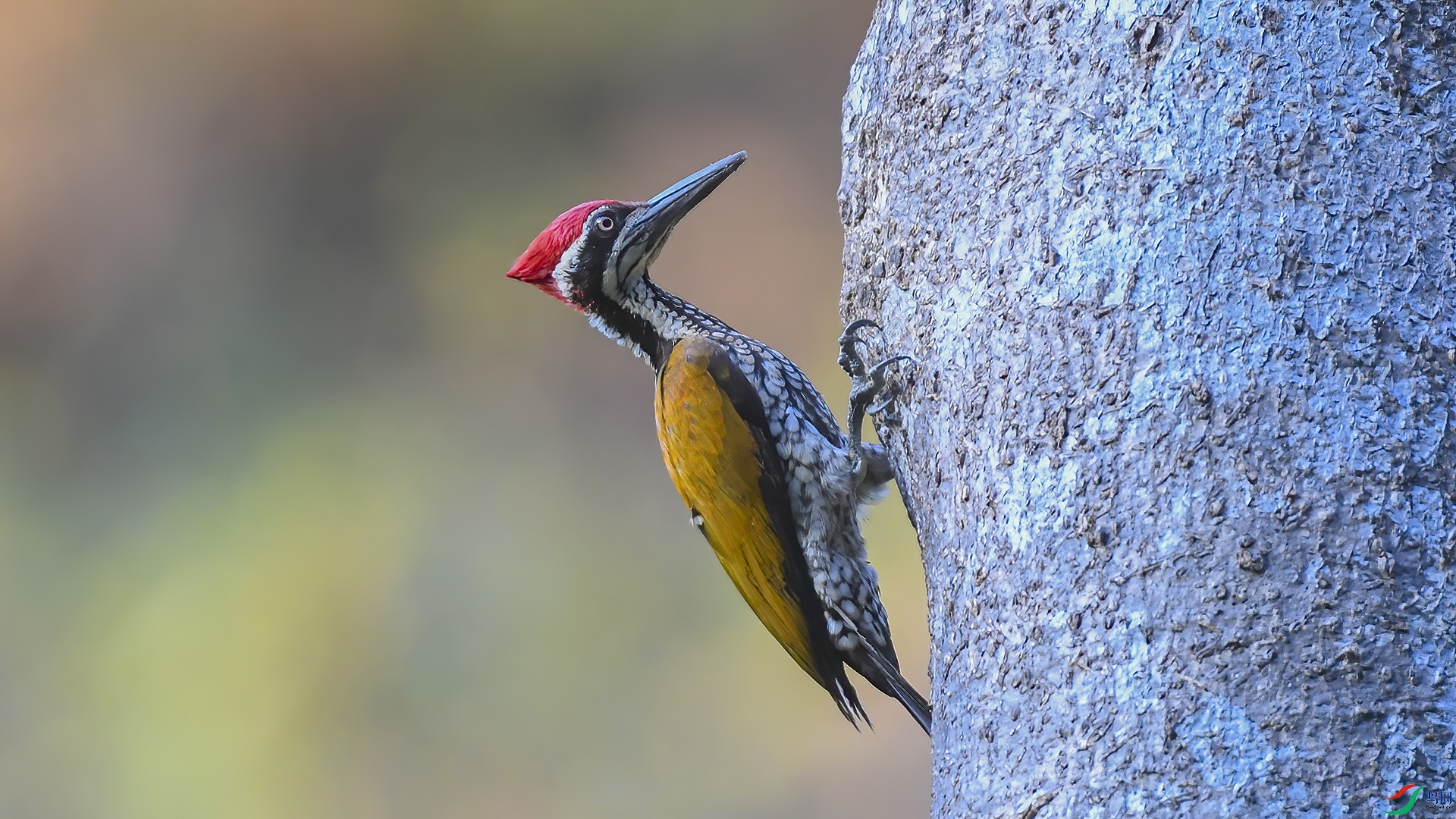 DSC_02nnn33.jpg