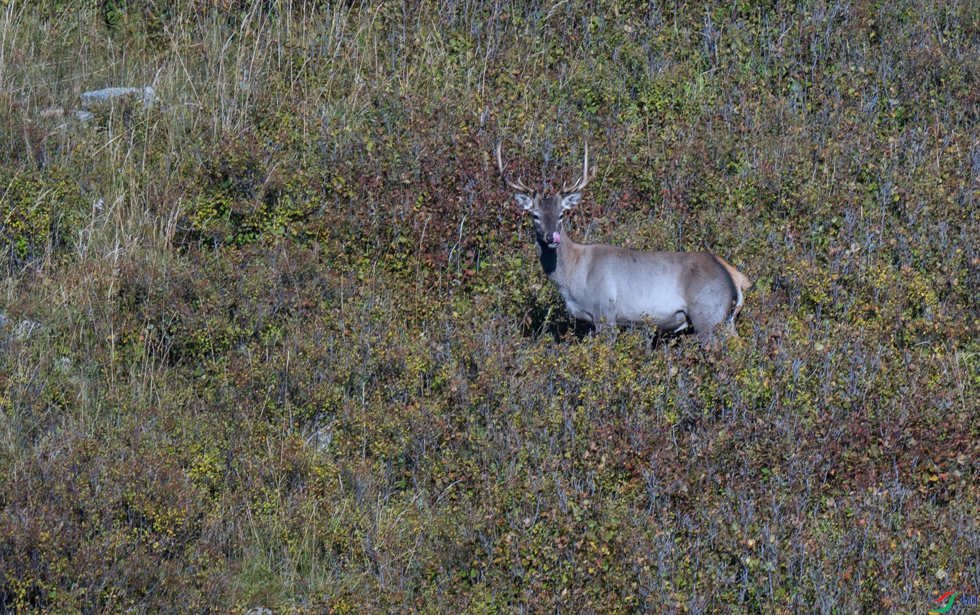 _DSC3239.jpg