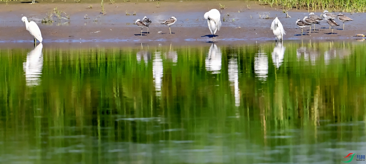 DSC_4650---_conew1.jpg