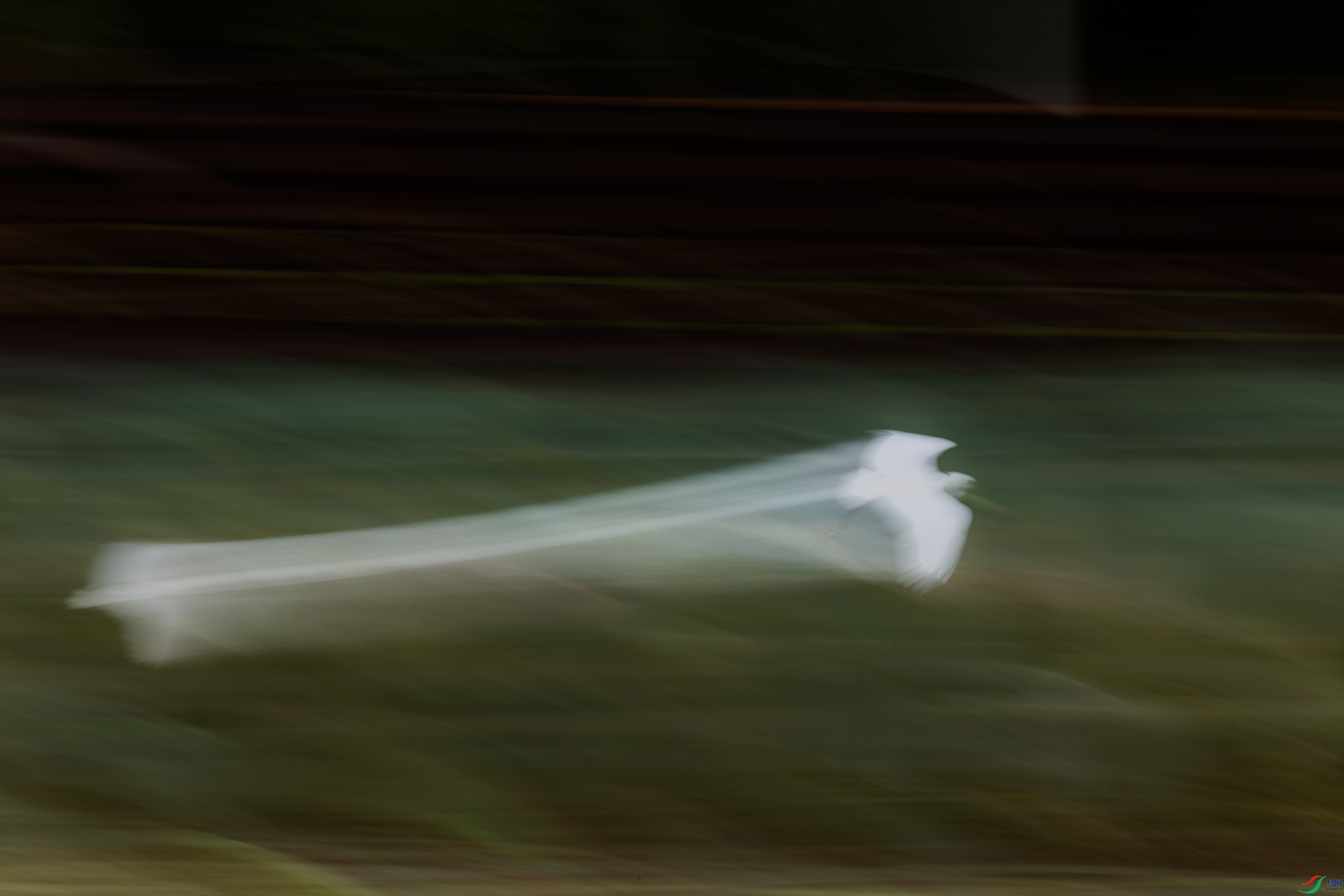 278A3596.jpg
