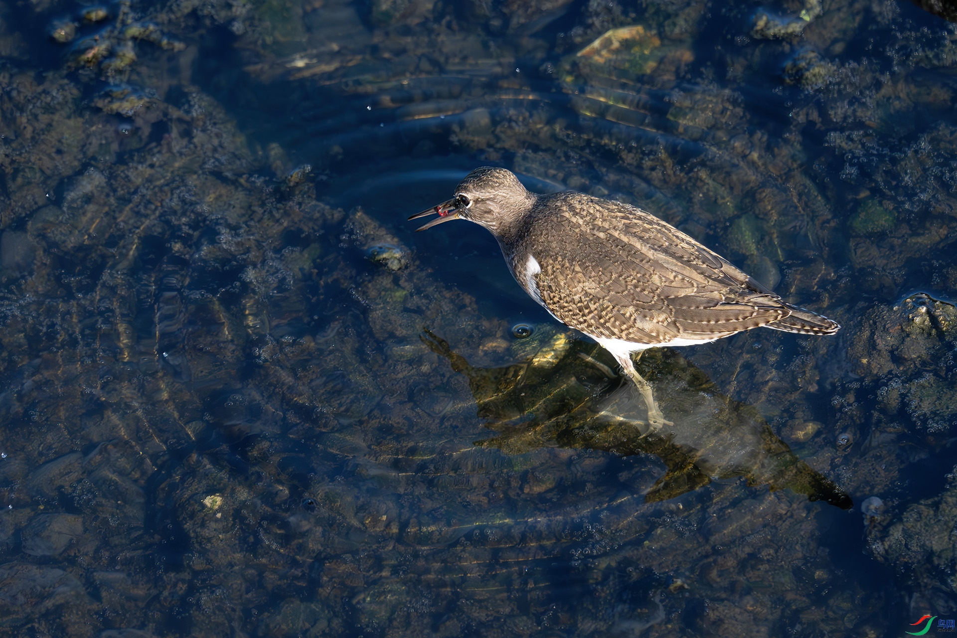 _DSC7505bb22.jpg
