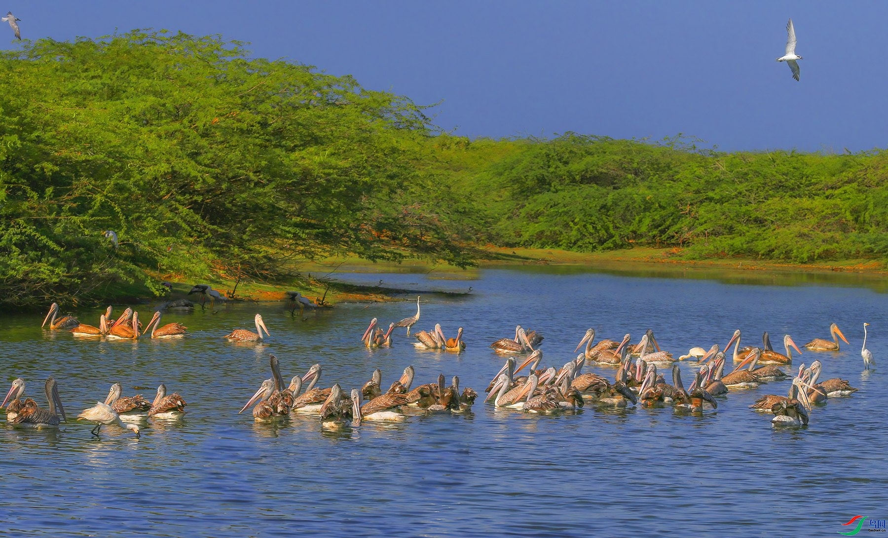 9.18����ͬ��yy��ʦ��Ʒ   �������� ��ף���ٻ���Ӱʦ������.jpg