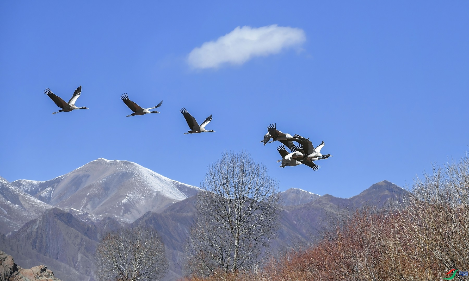 9.20����ͬ��yy��ʦ��Ʒ   ��Խ��ף���ٻ���Ӱʦ������.jpg