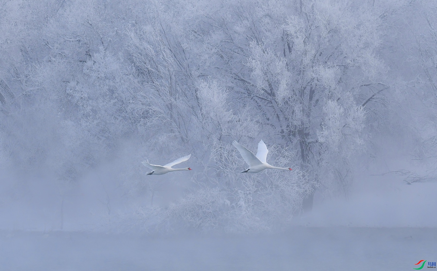 9.19����ͬ��yy��ʦ��Ʒ   ���ɰ� ��ף���ٻ���Ӱʦ������.jpg