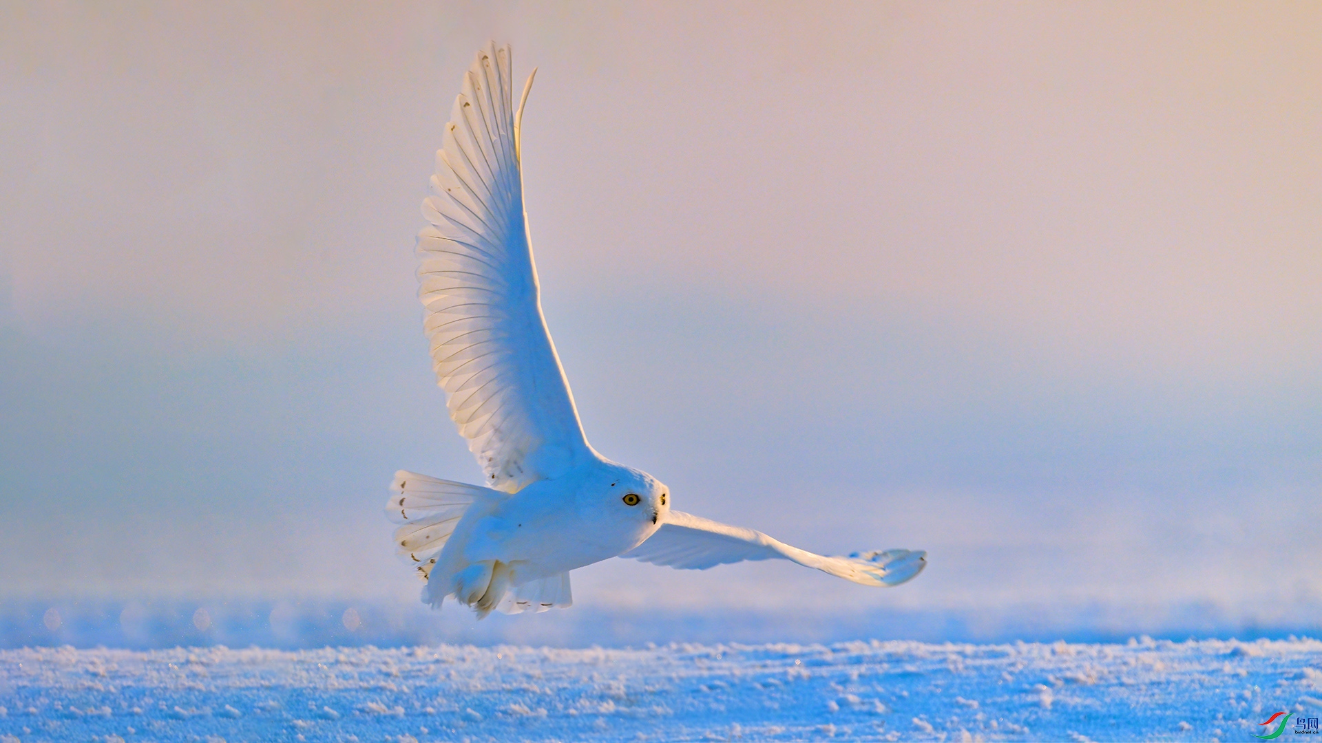 XHH_1502 ����.jpg