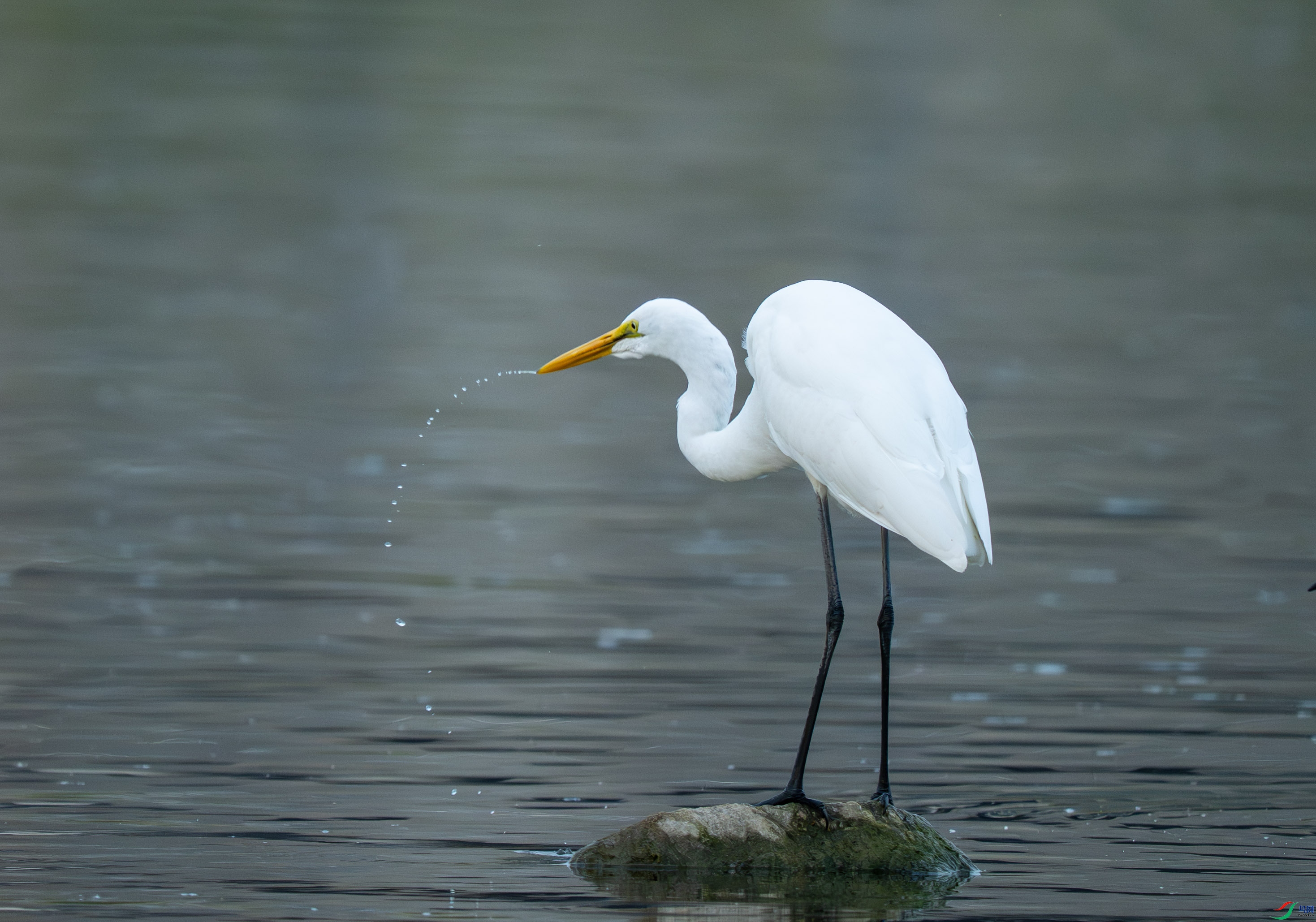 DSC_1214.jpg