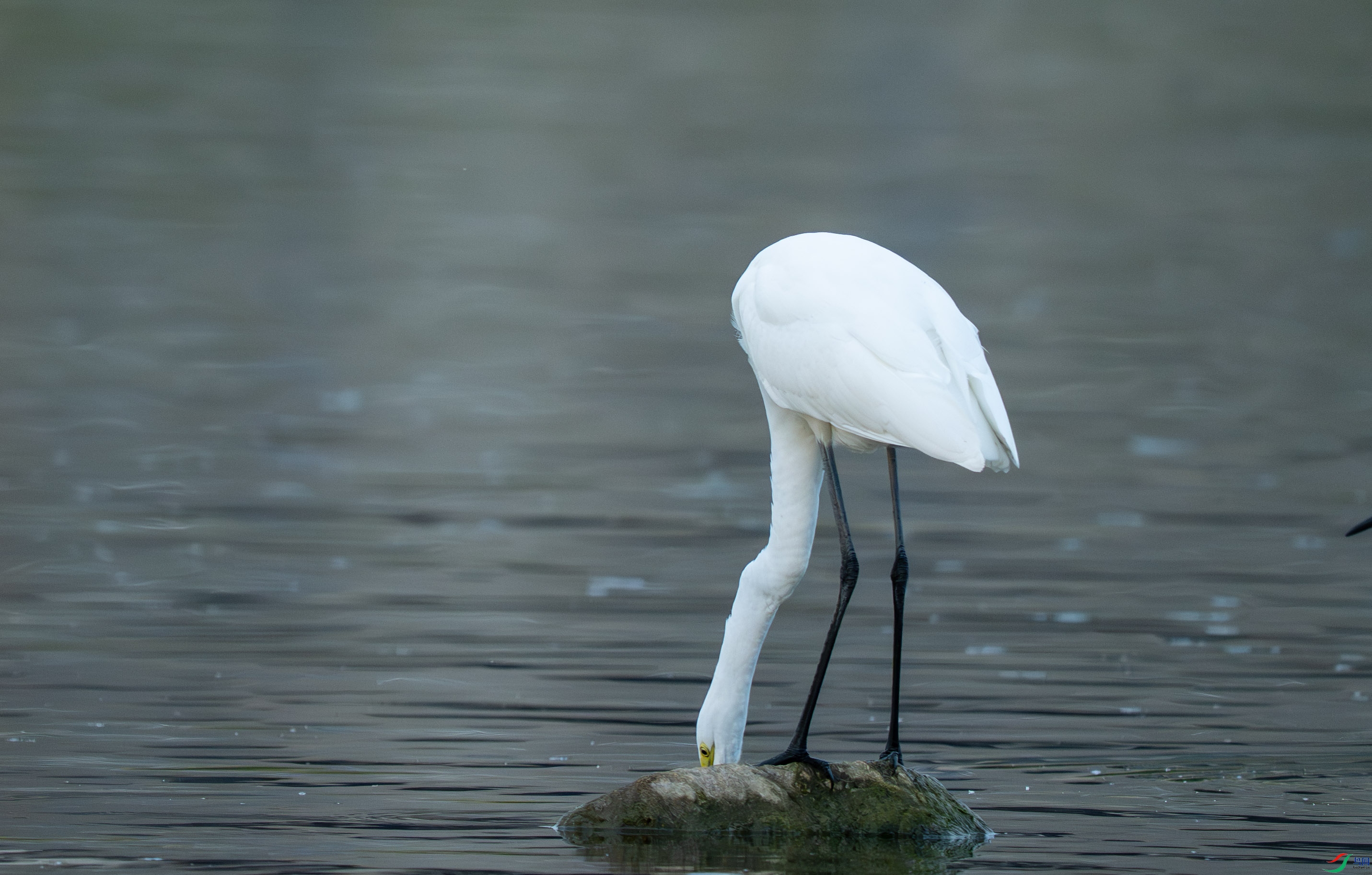 DSC_1211.jpg