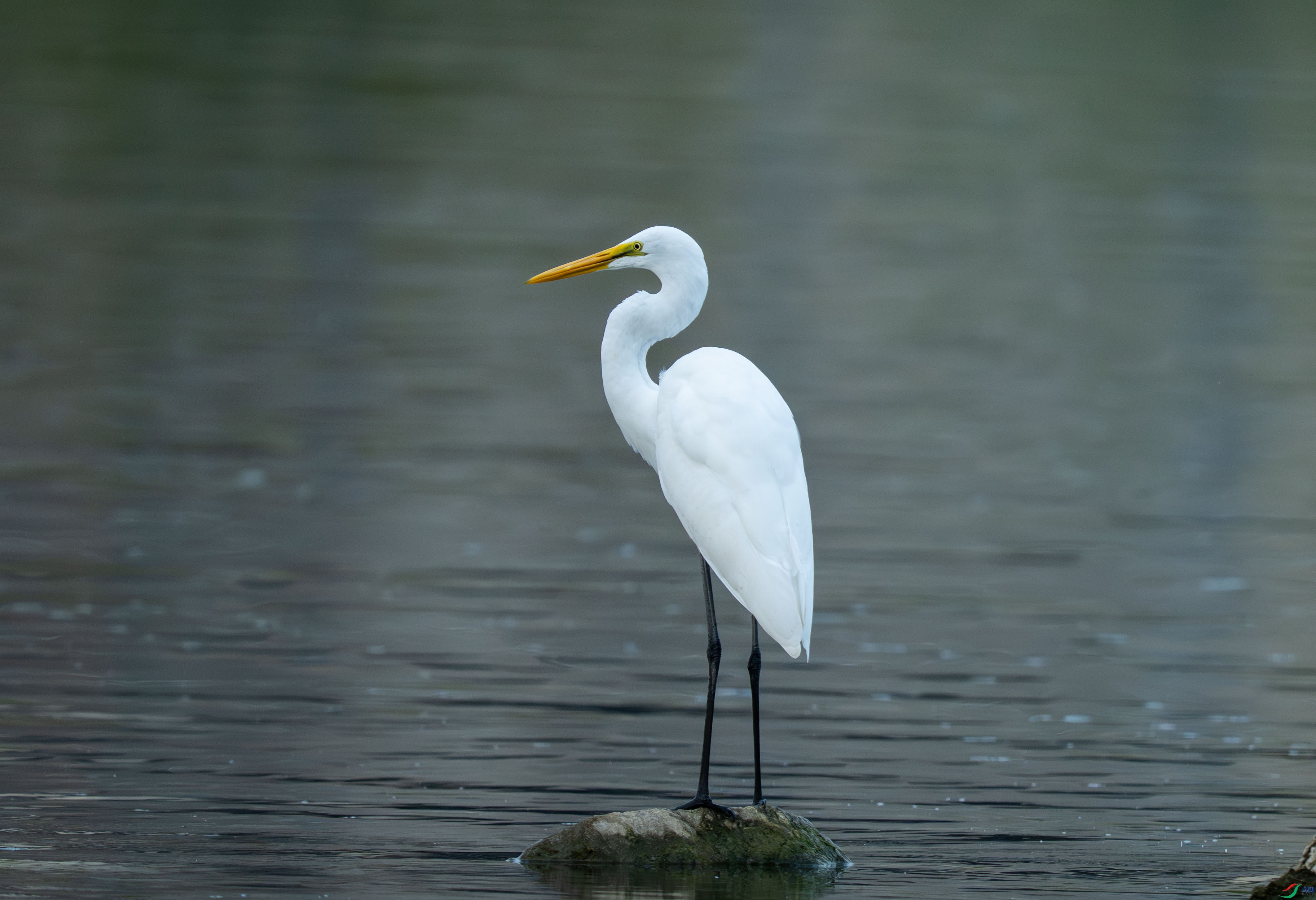 DSC_1206.jpg