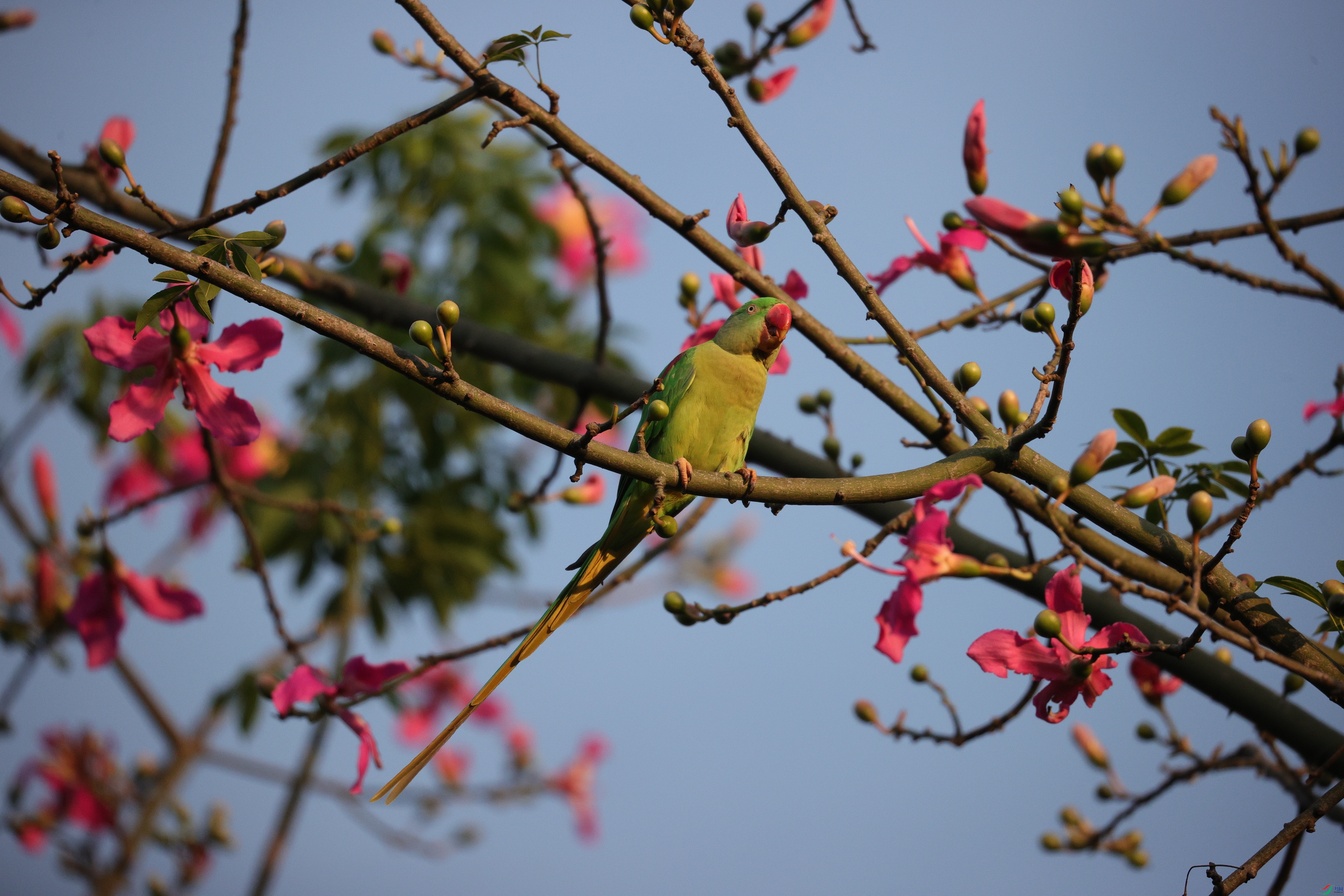 7324��ש����