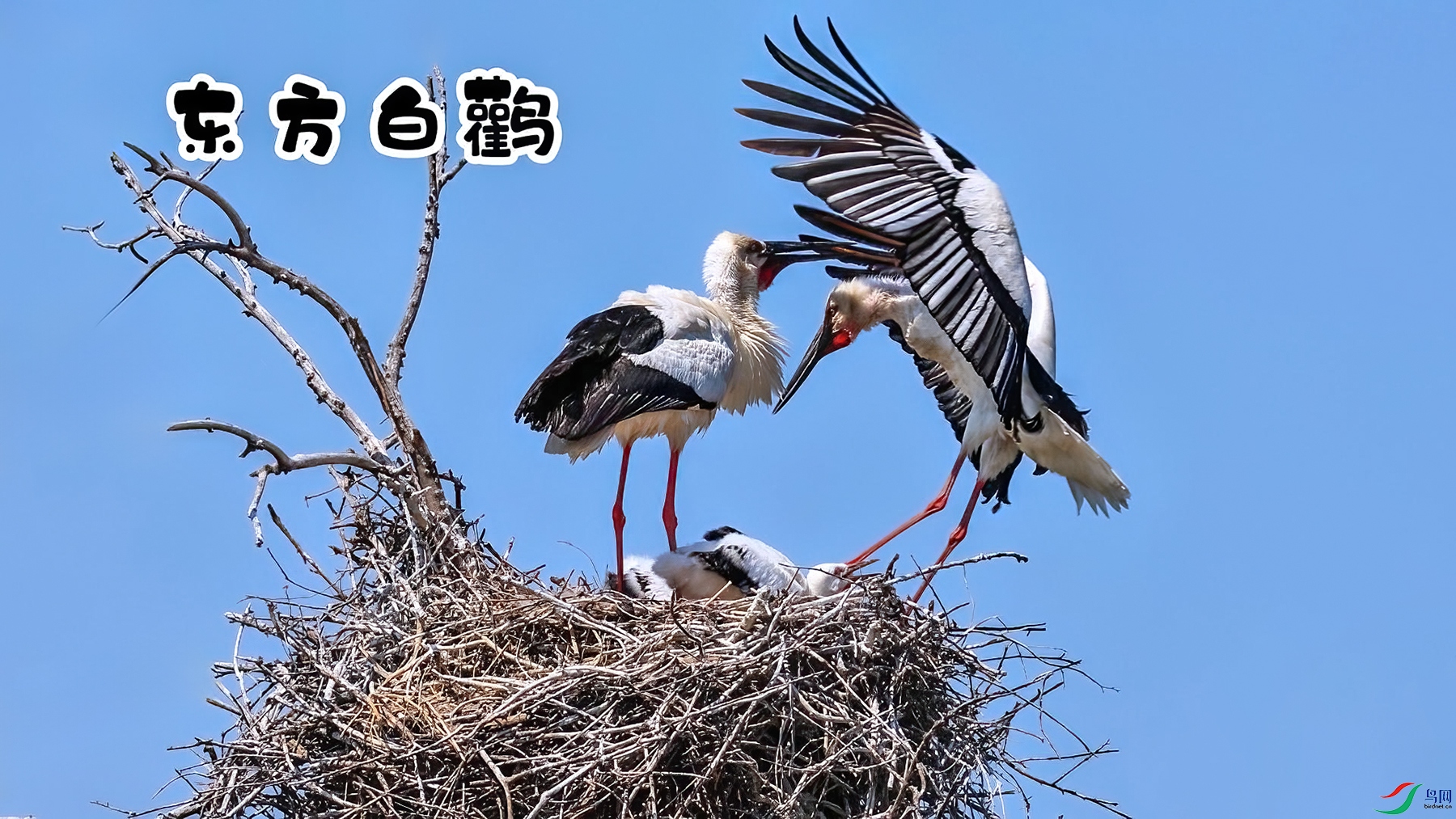 ����-���� ����.jpg