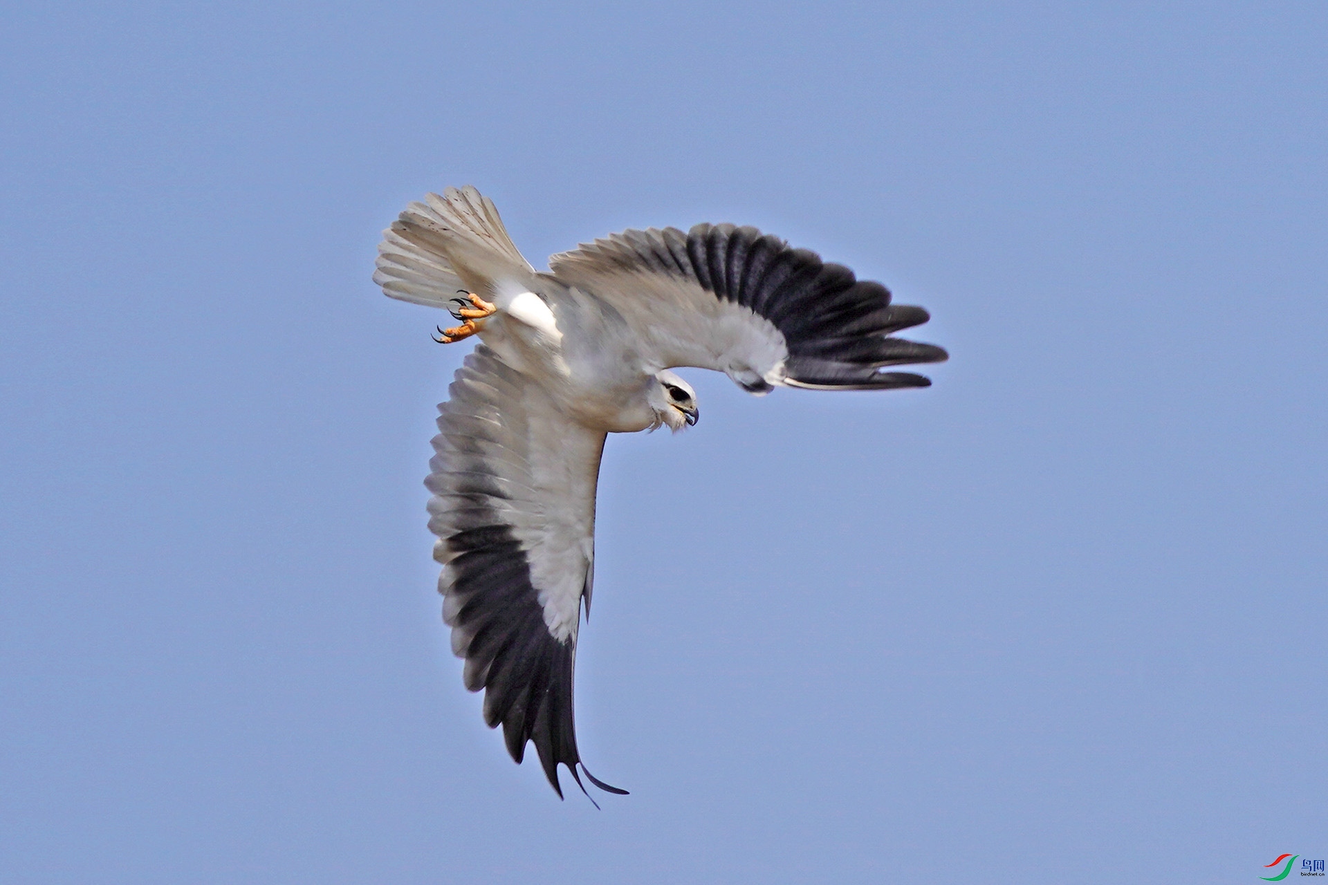 DSC03317-1.jpg