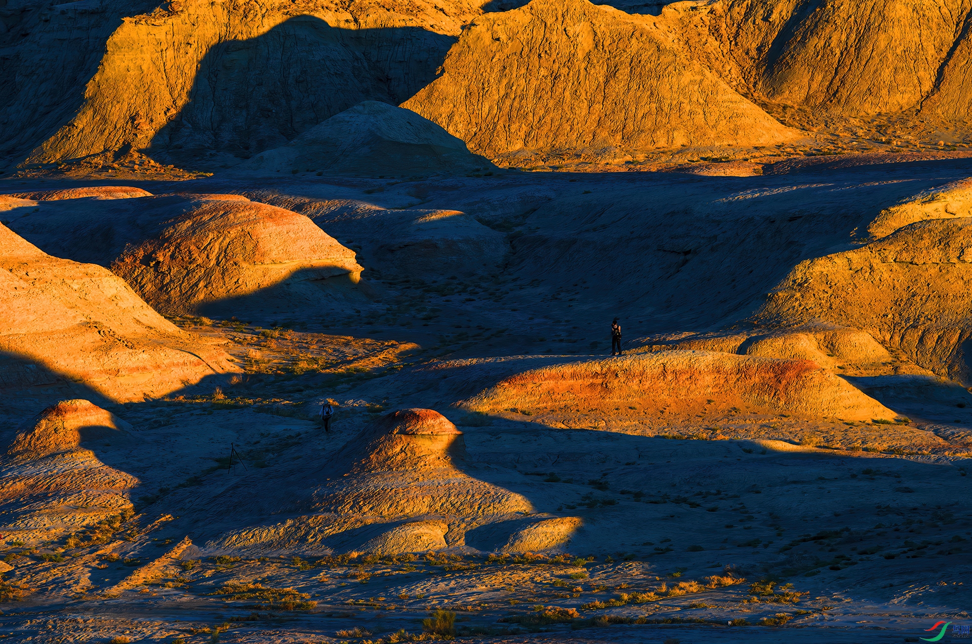 _DSC8244- ħ���ǹ�Ӱ.jpg