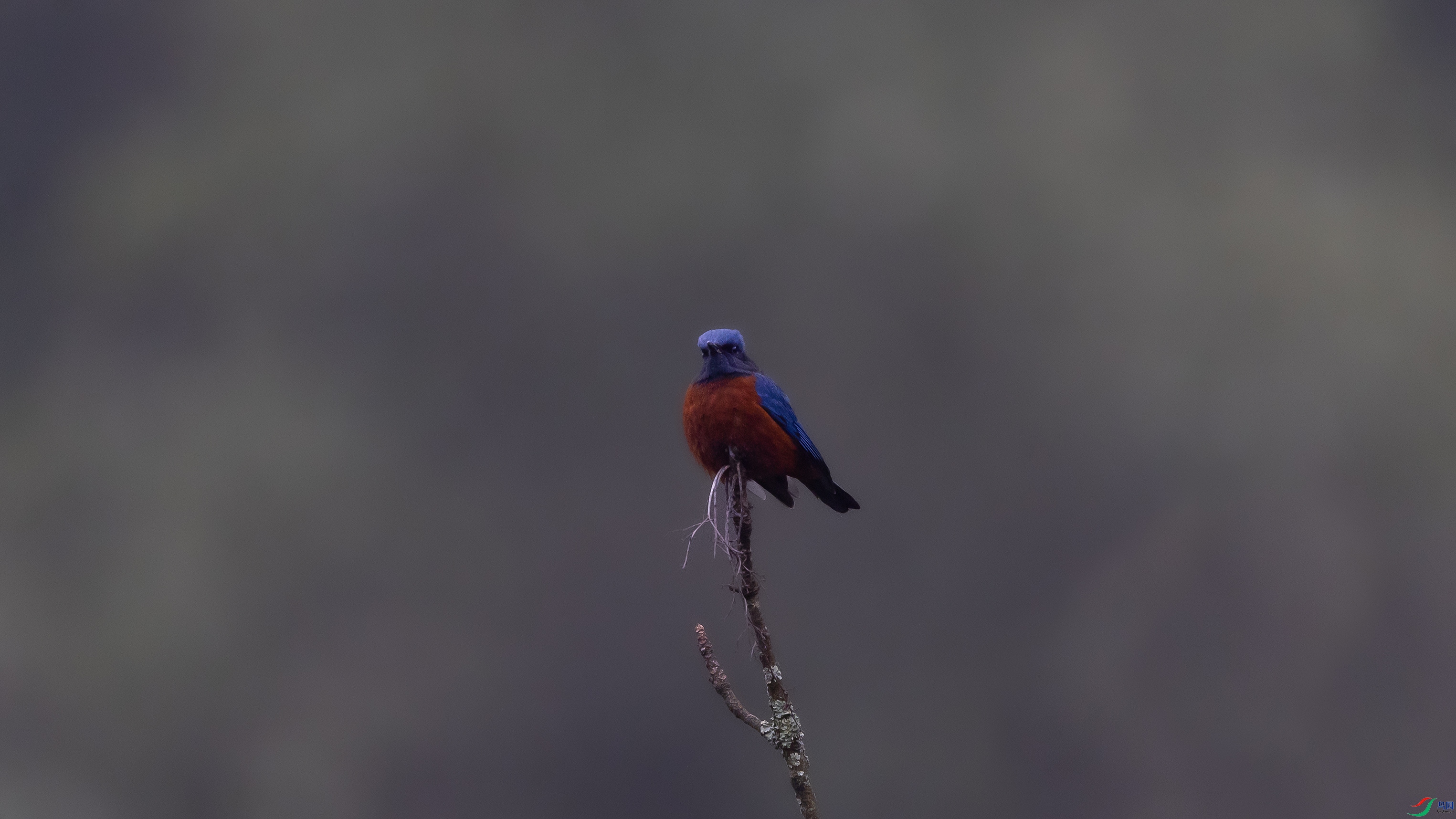 _O7A7603 ����44444.jpg