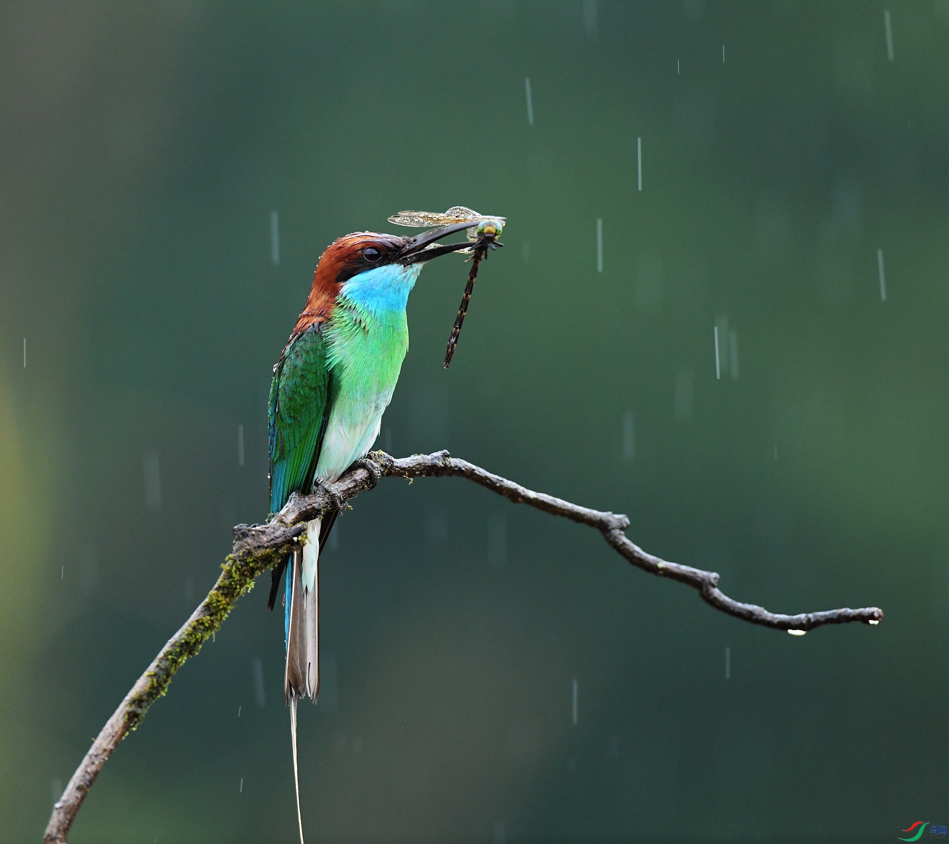 DSC_9233.jpg
