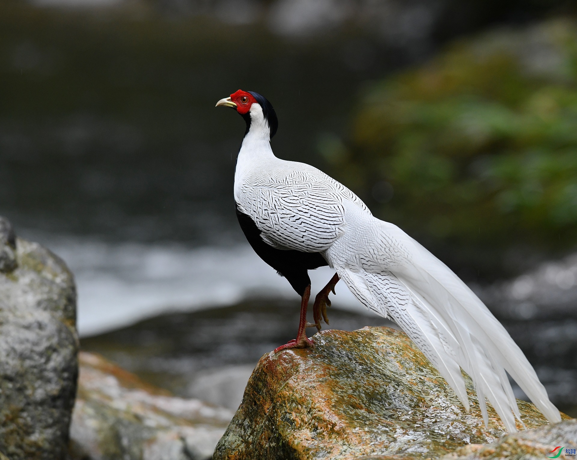 DSC_7382.jpg