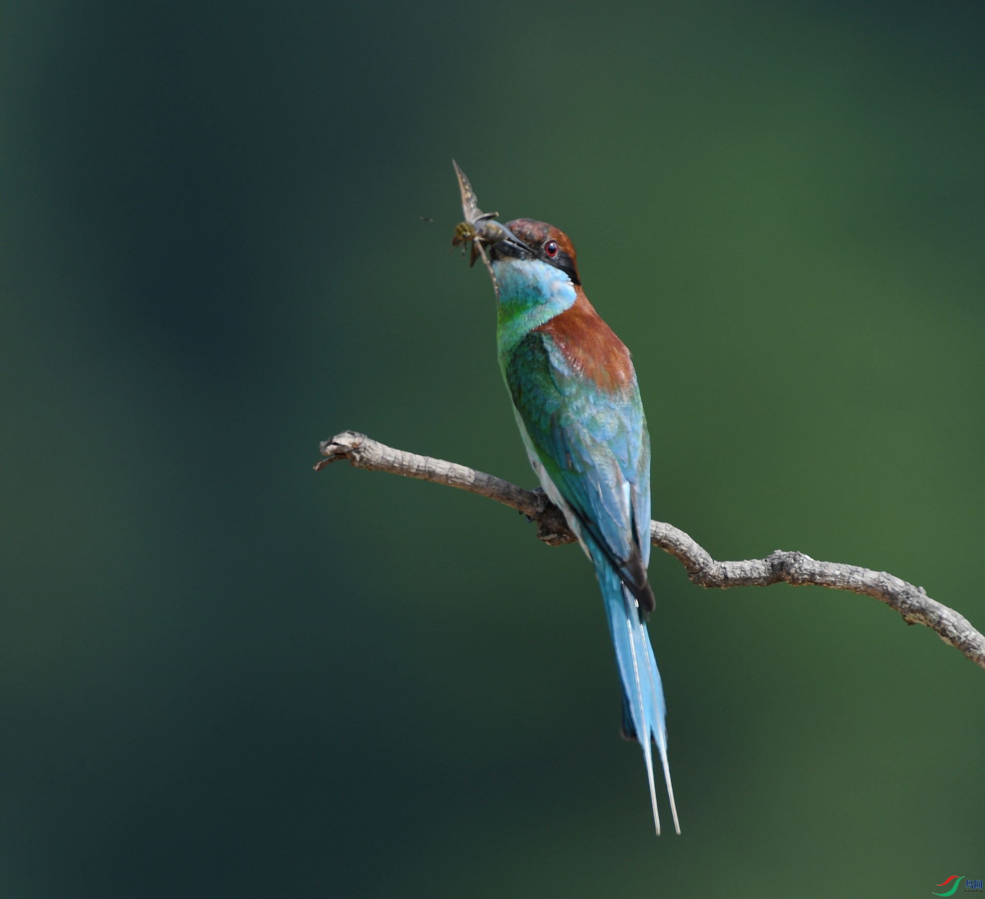 DSC_7369.jpg