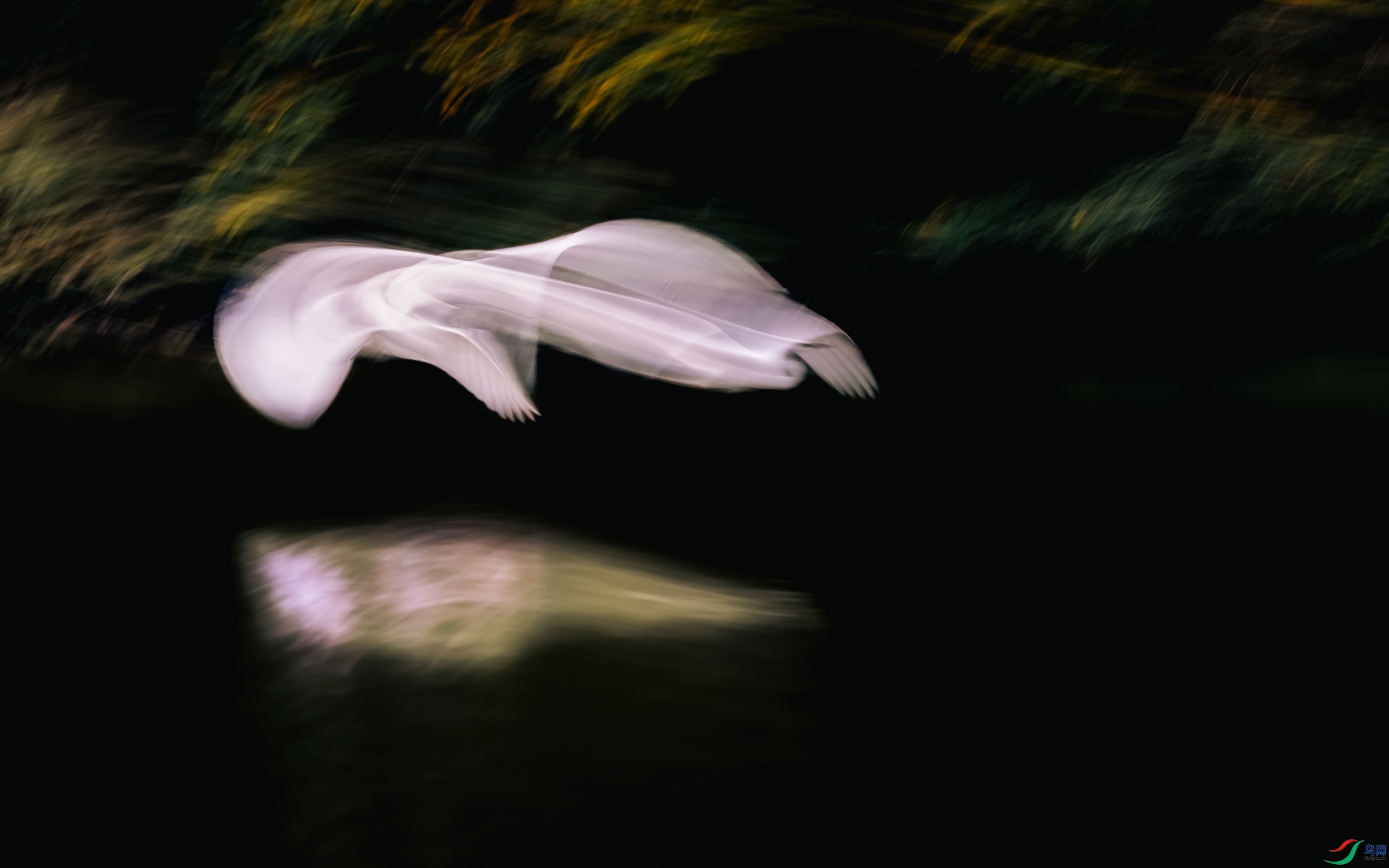 DSC_8574-����ǿ-NR ���� 2.jpg