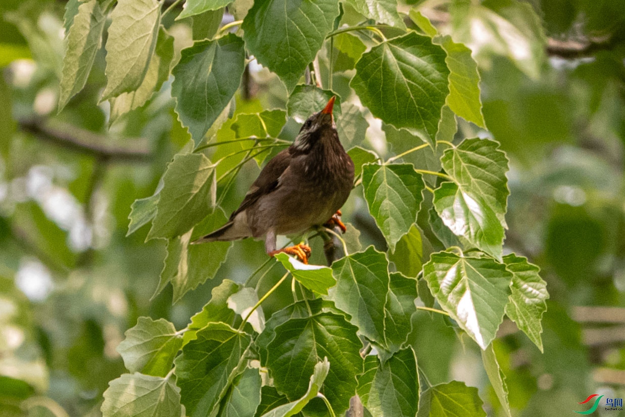 DSC_8700.jpg