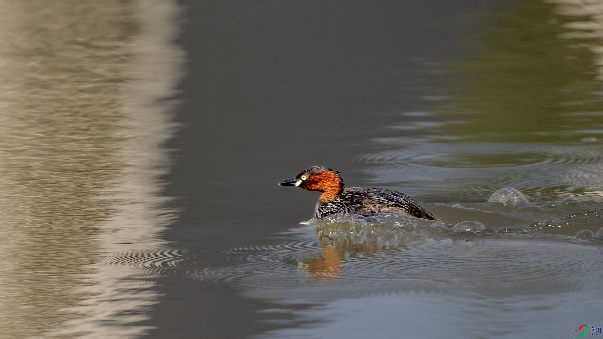 DSC_6551 ����.jpg