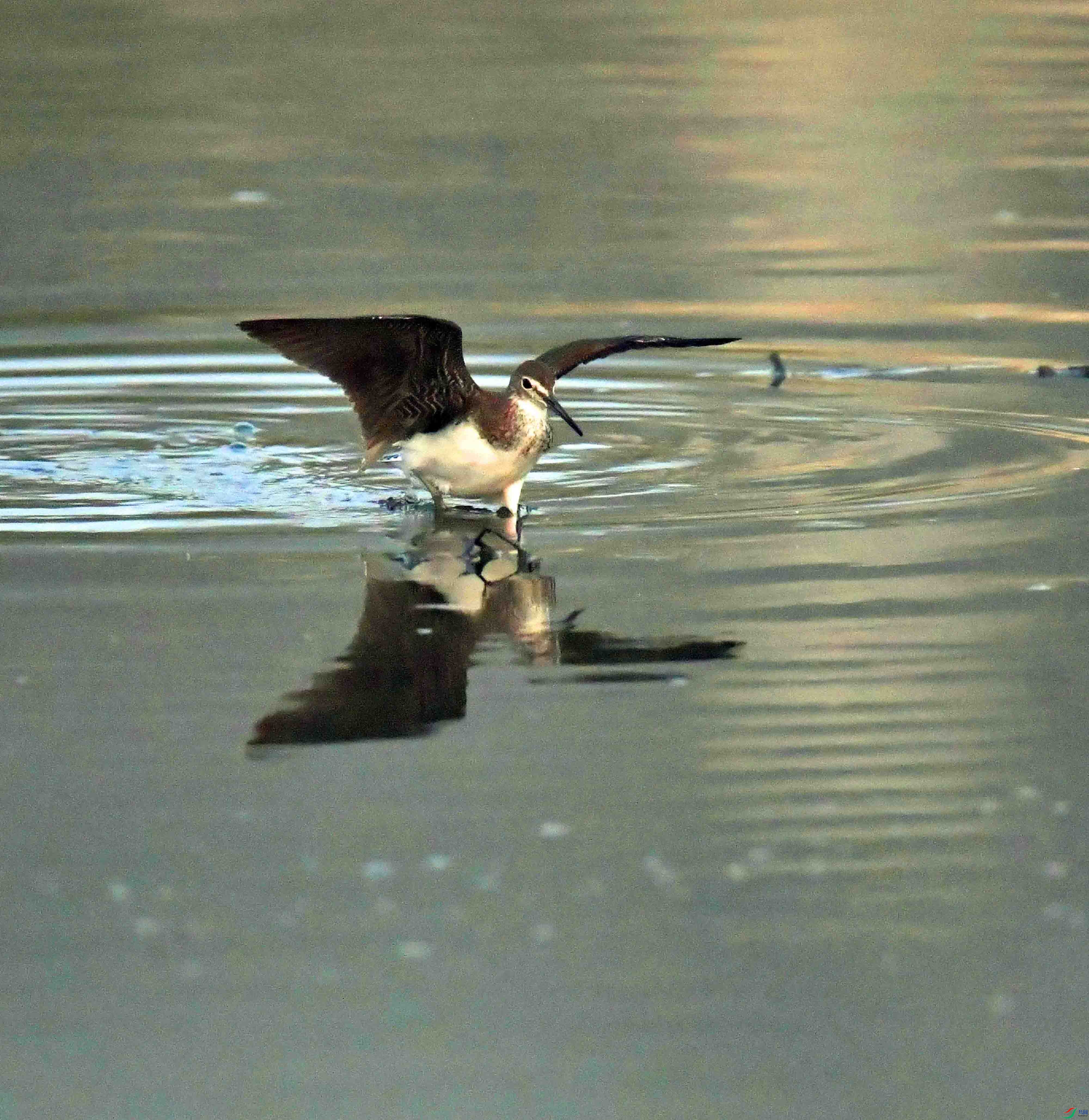 DSC_0840.JPG