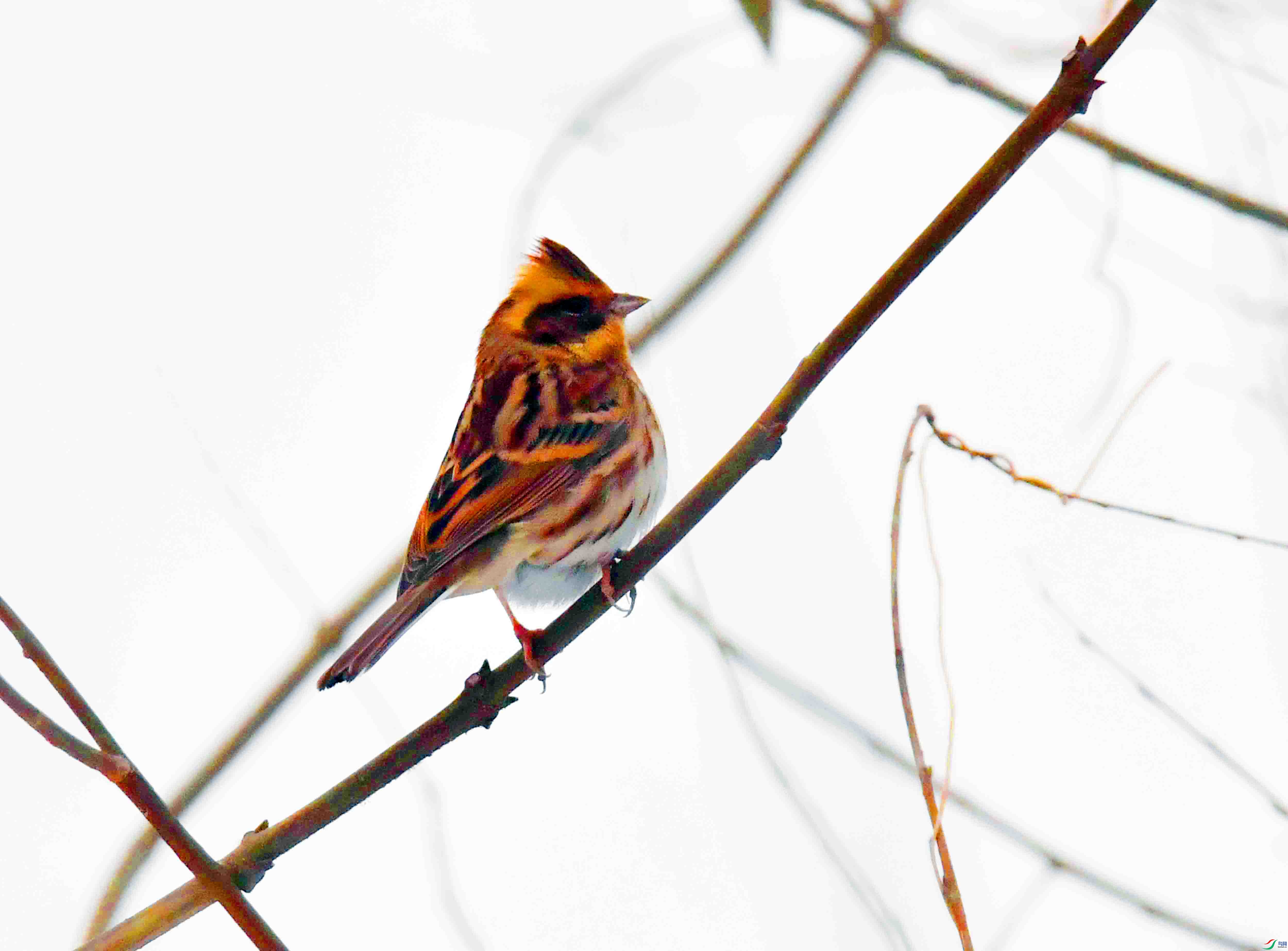 DSC_0405.JPG