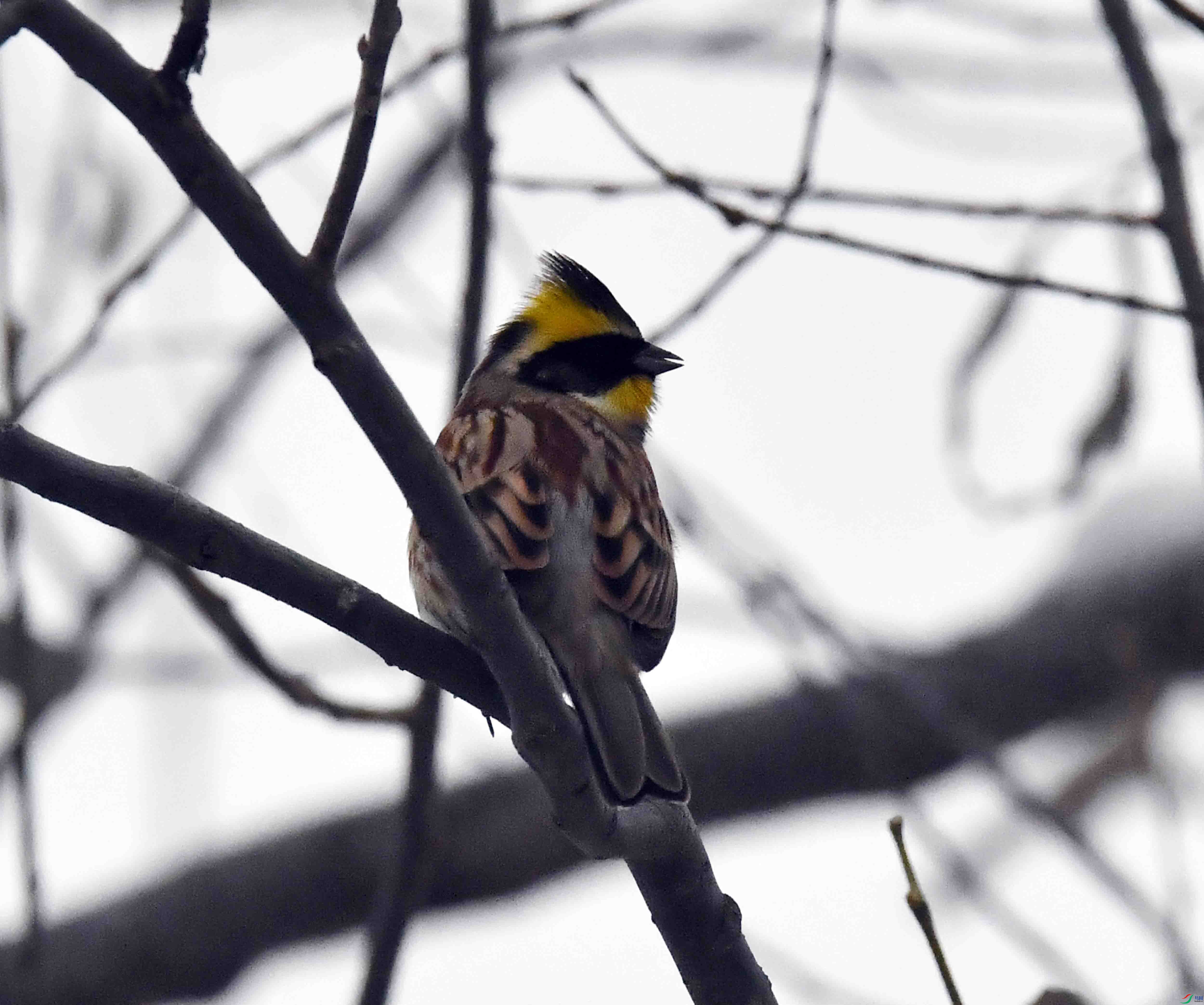 DSC_0424.JPG