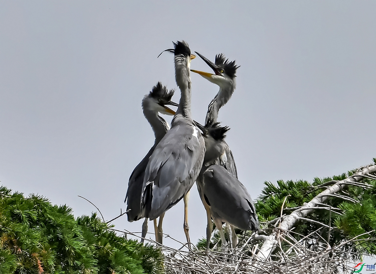 DSC_2653ʳ���Ҵ���.jpg