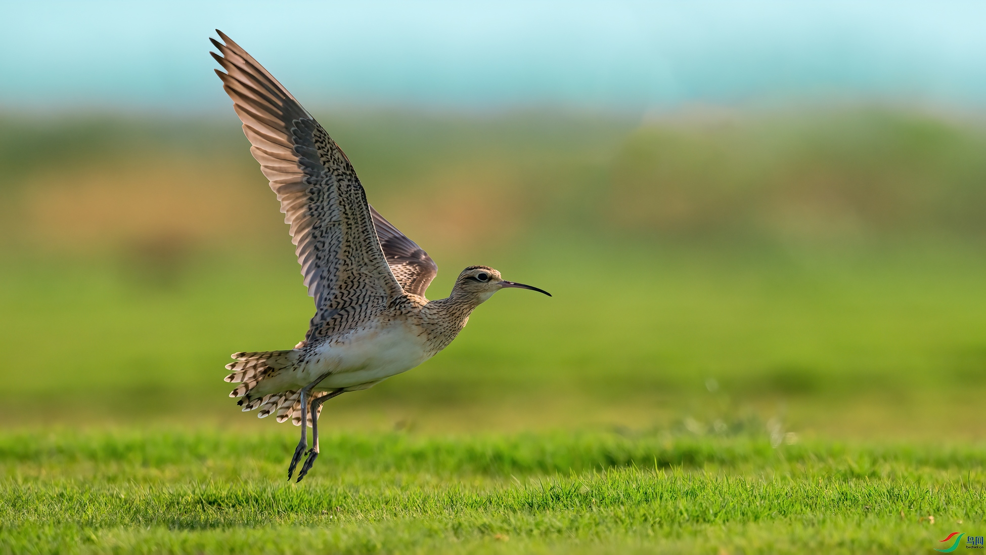 DSC_7792 ����01.jpg