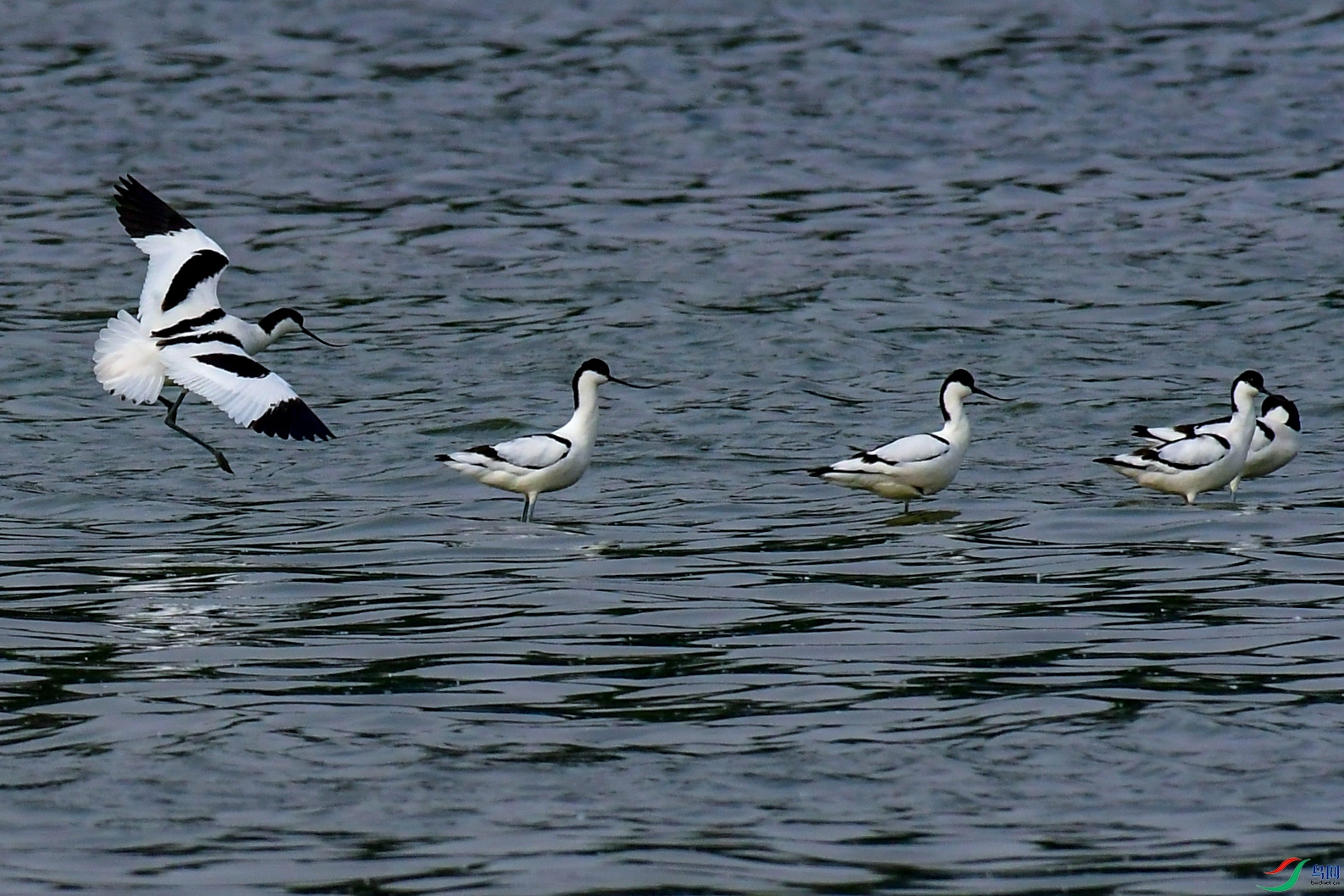 DSC_7640.jpg
