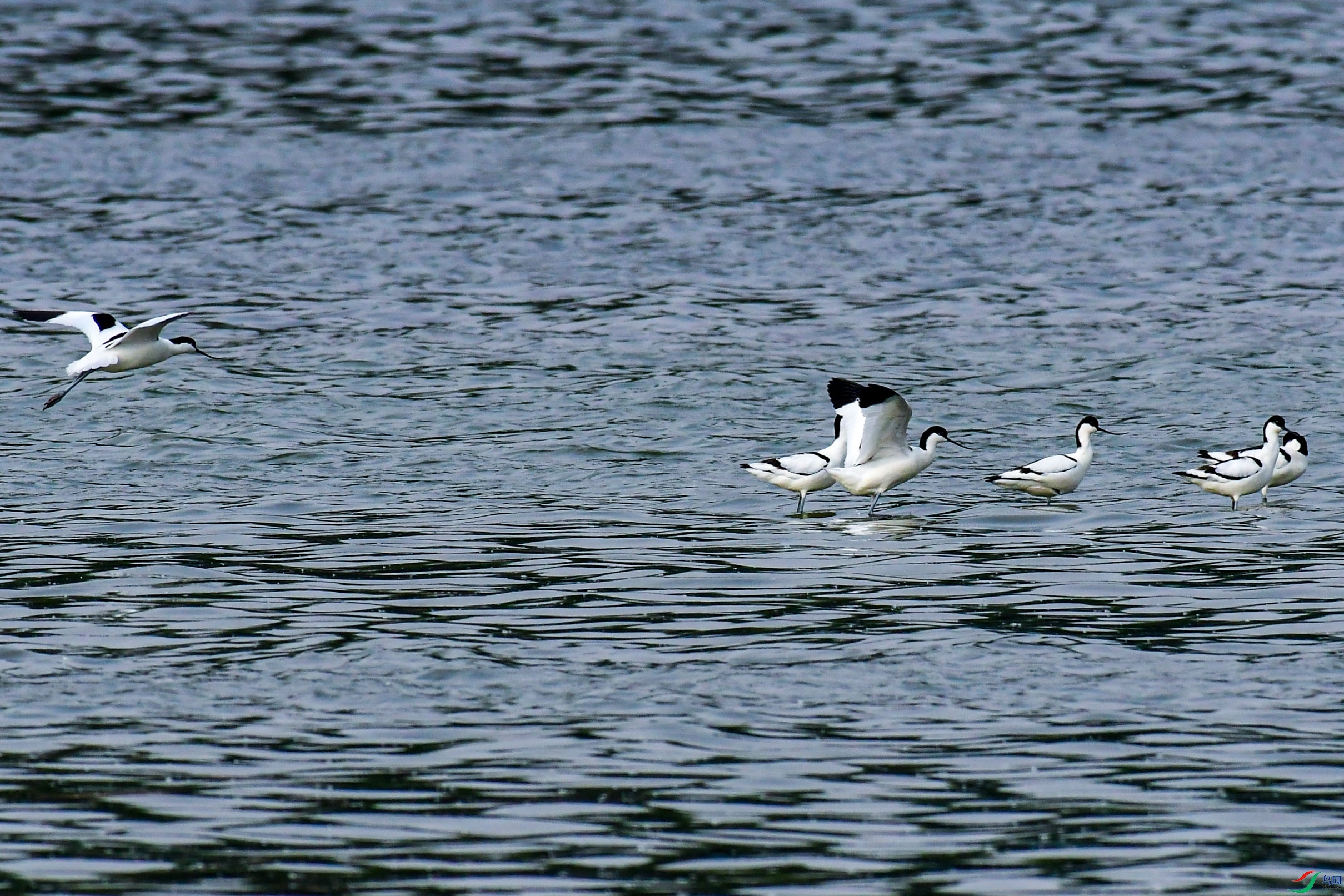 DSC_7642.jpg