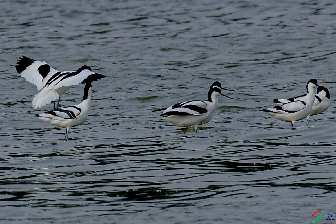 DSC_7647.jpg