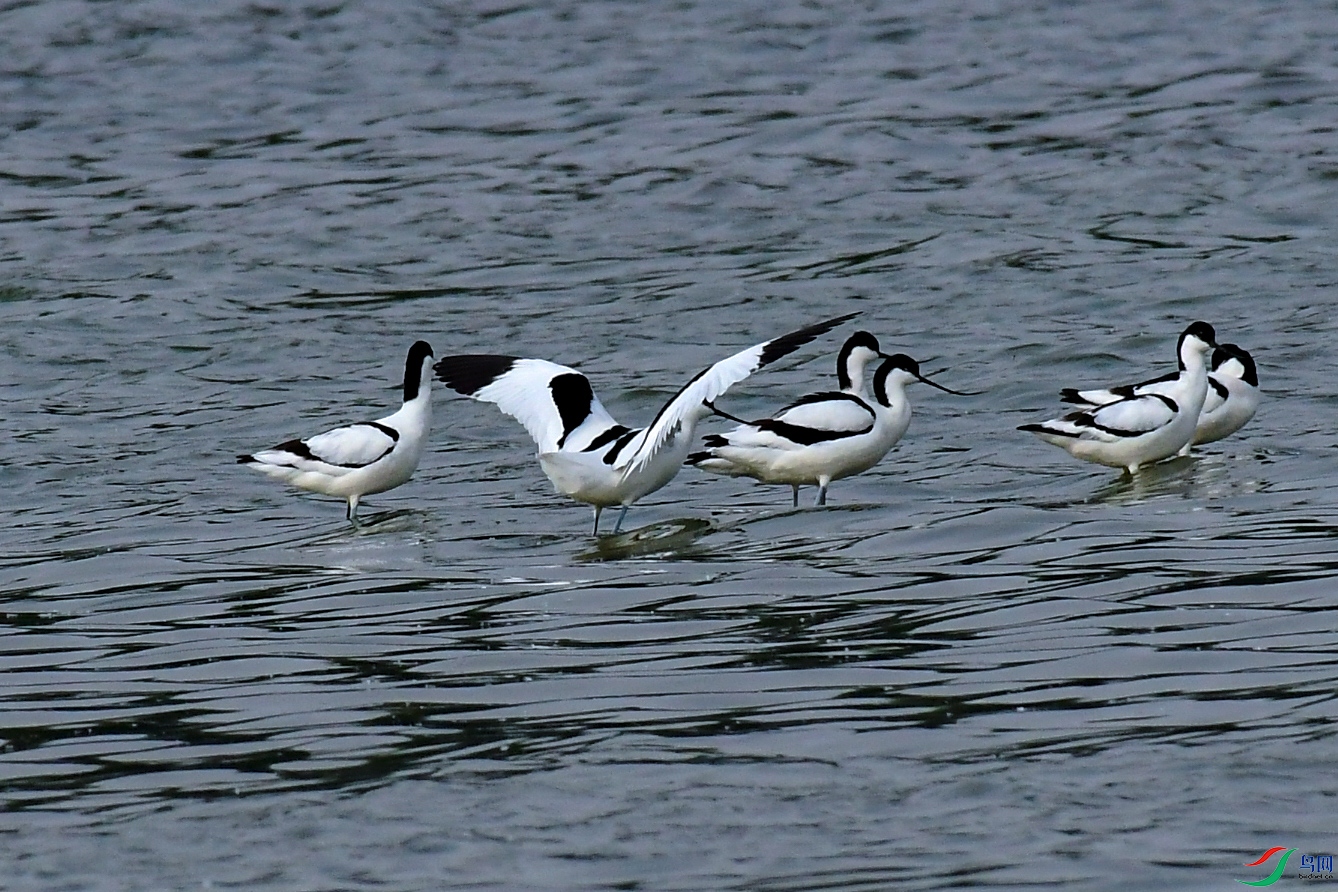 DSC_7649_1.jpg