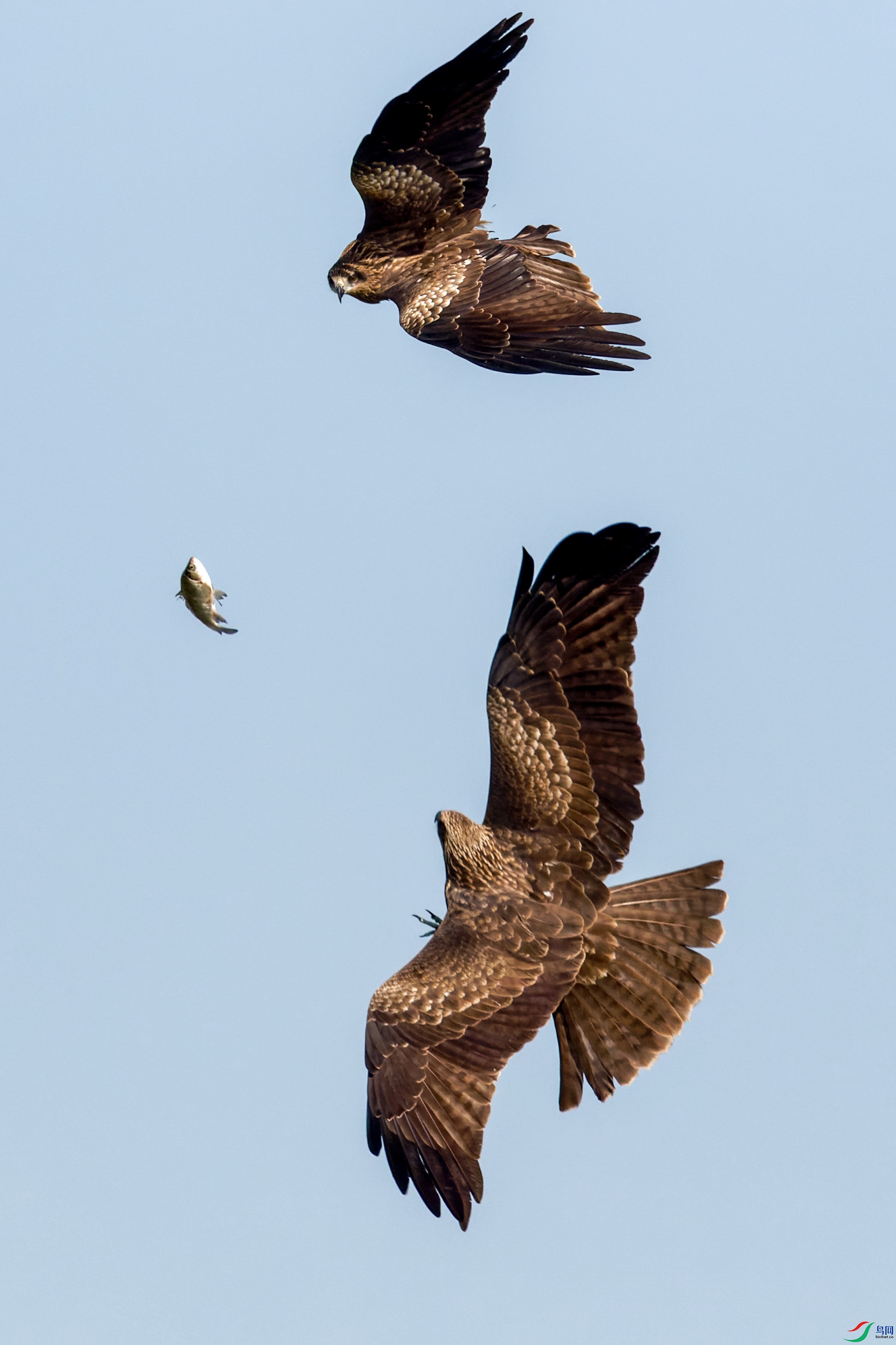 7D2_3659-CR2_DxO_DeepPRIME-1.jpg