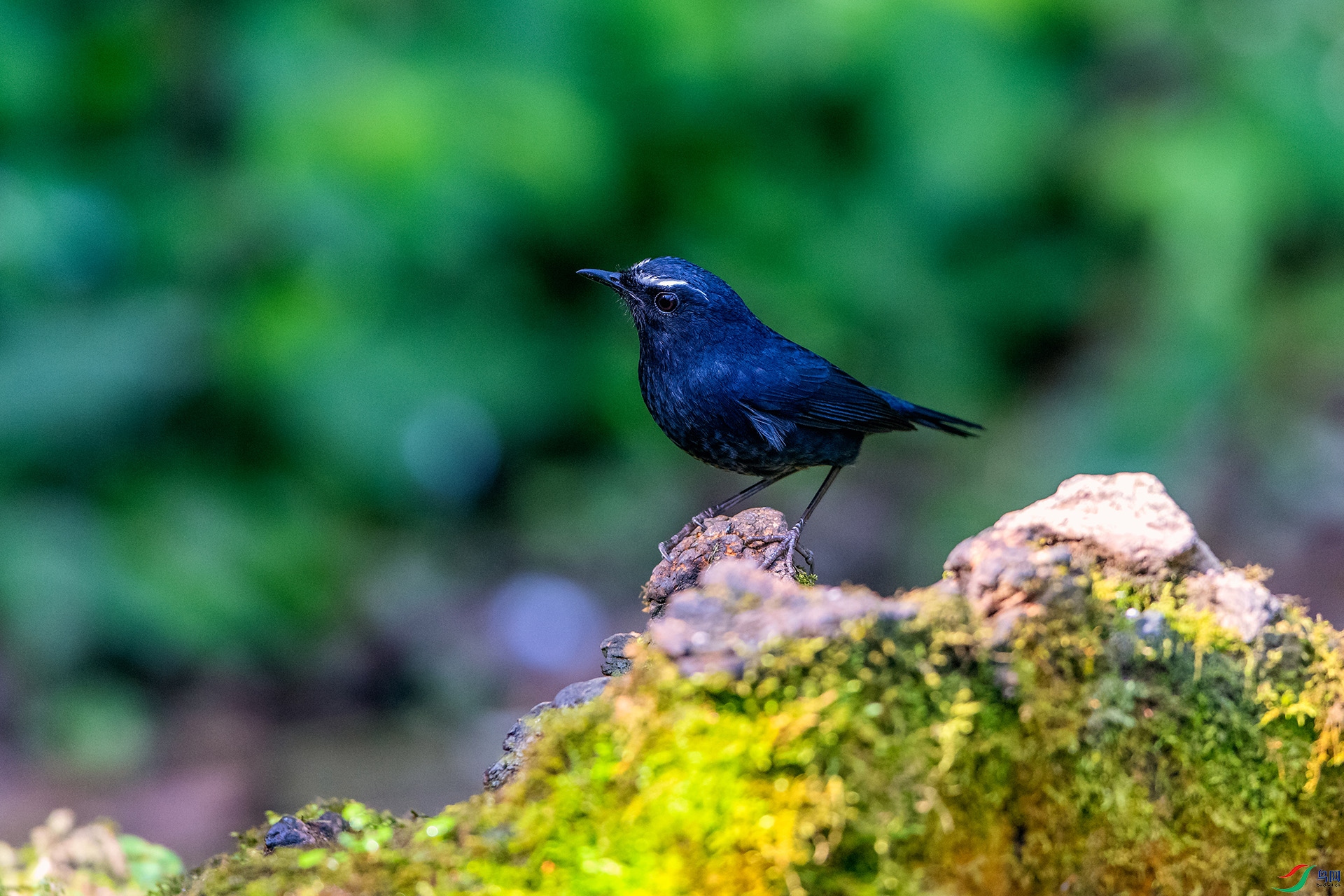 ��_AUU1816��ϲɽ�̳��(24.2.15)-1.jpg