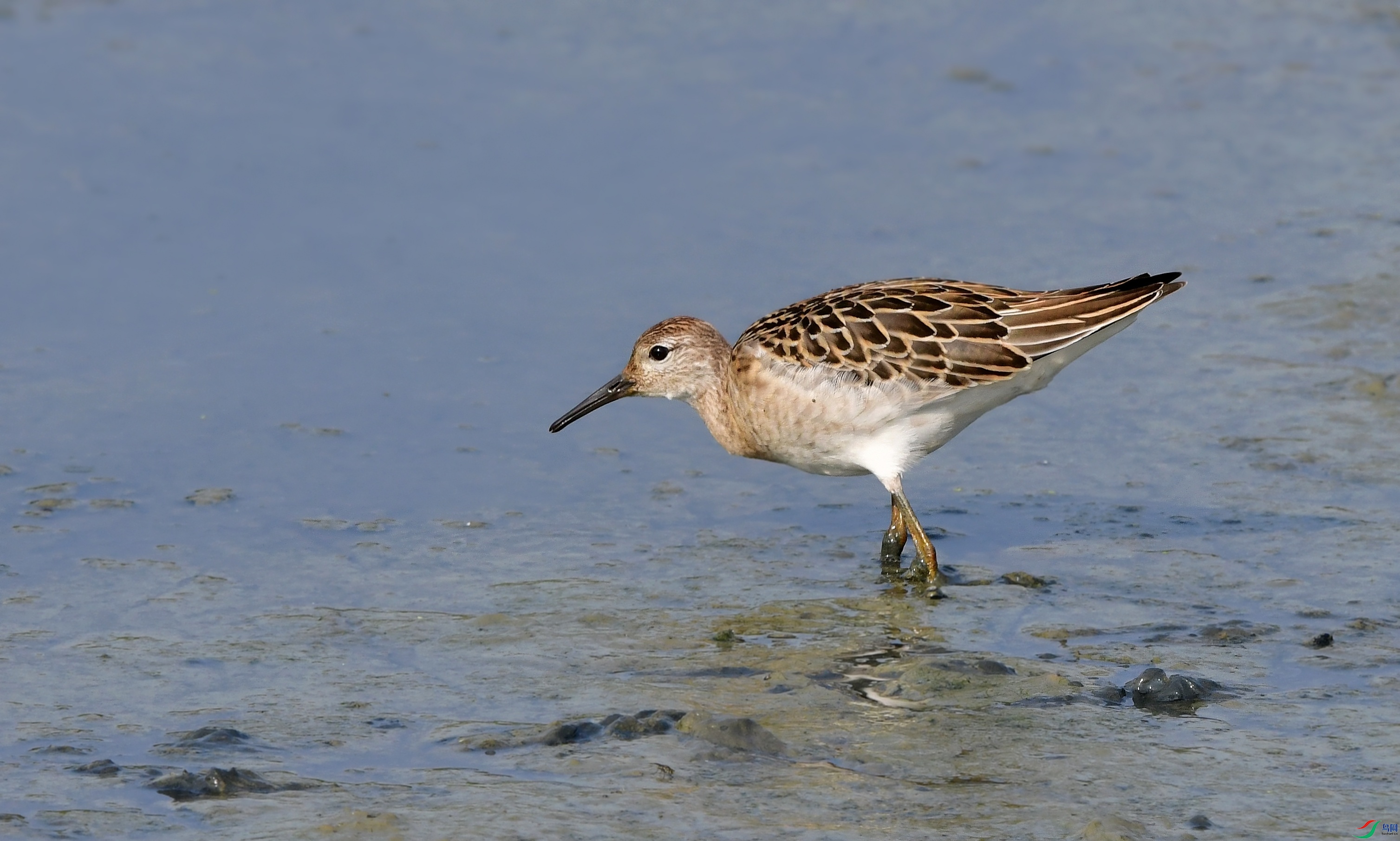 DSC_5665_conew4.jpg