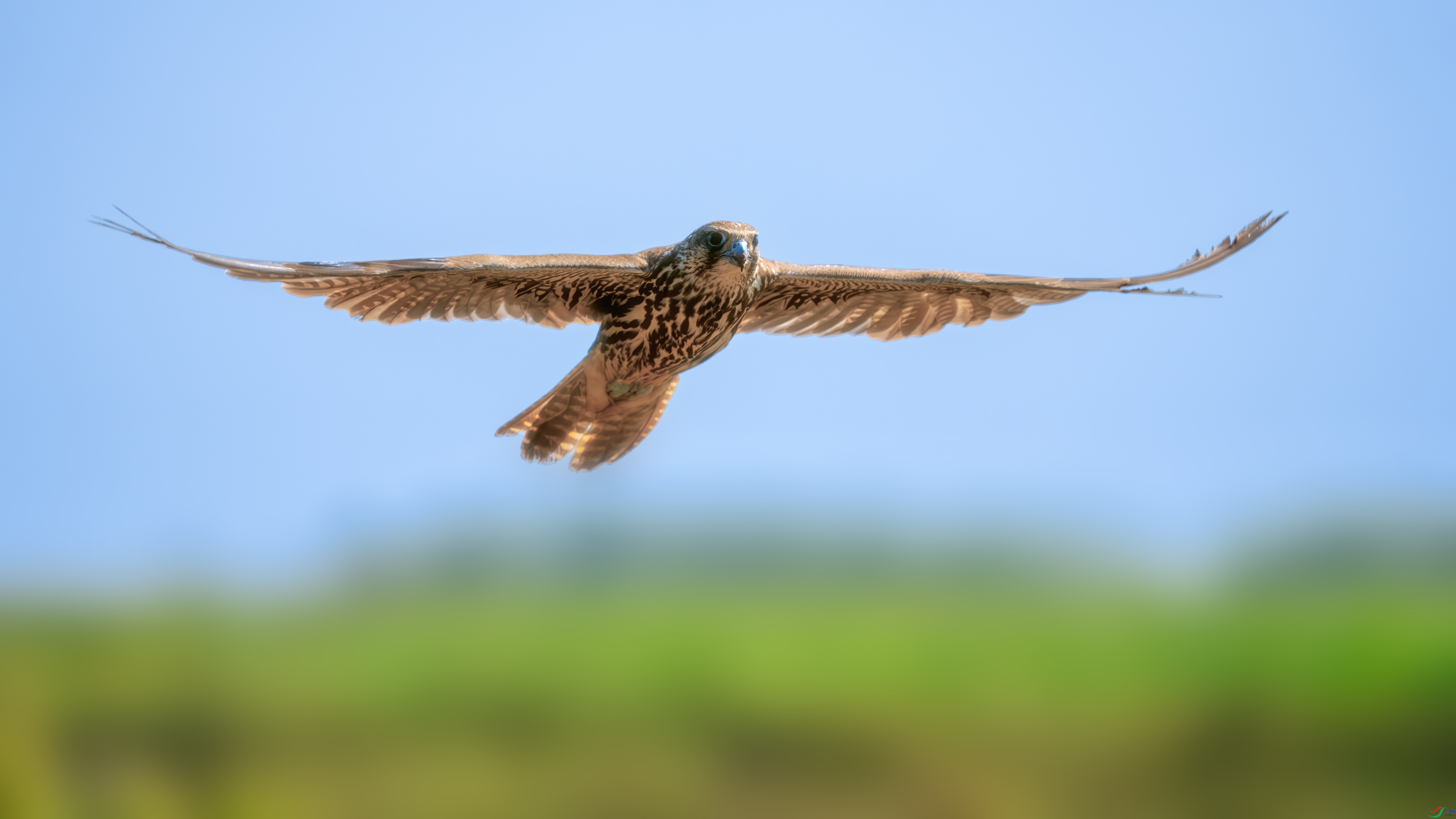 _DSC2999 ����.jpg