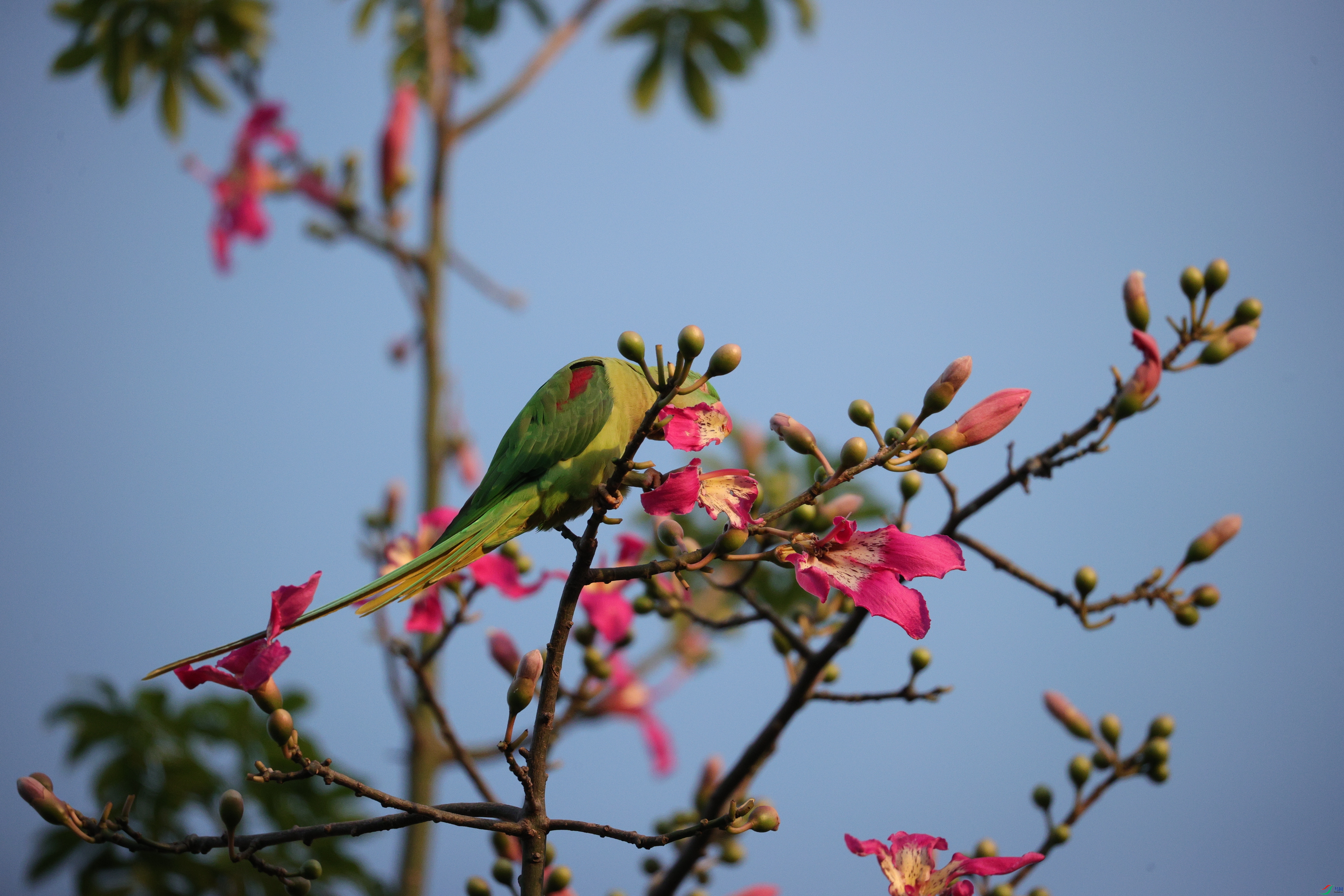 7408��ש����