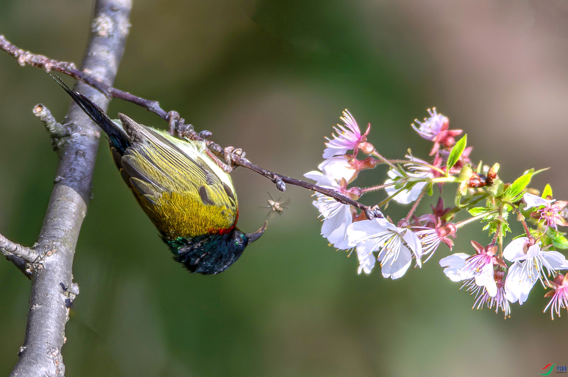 AS7I5648-����ǿ-NR ����----1 .jpg