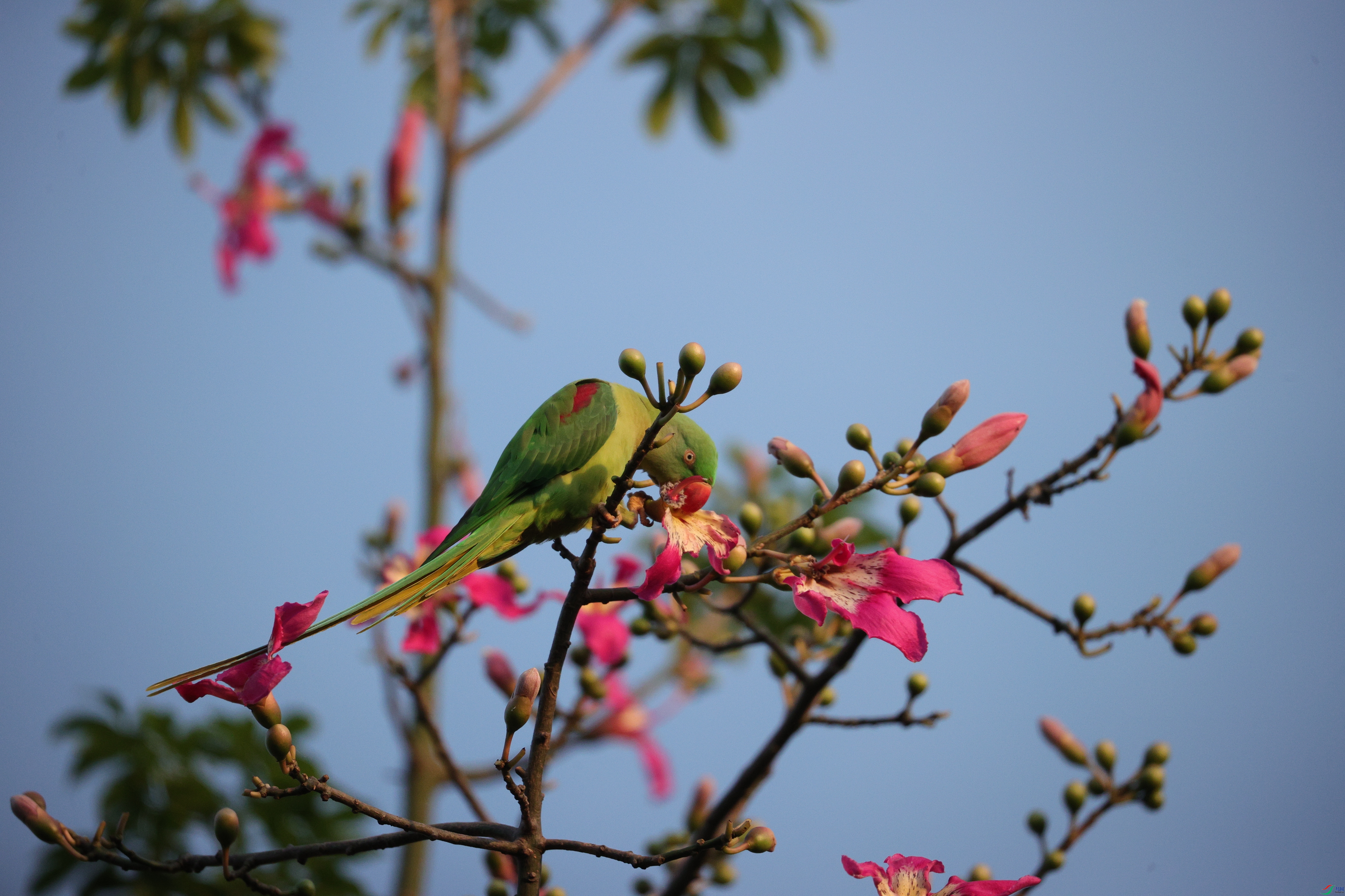 7415��ש����