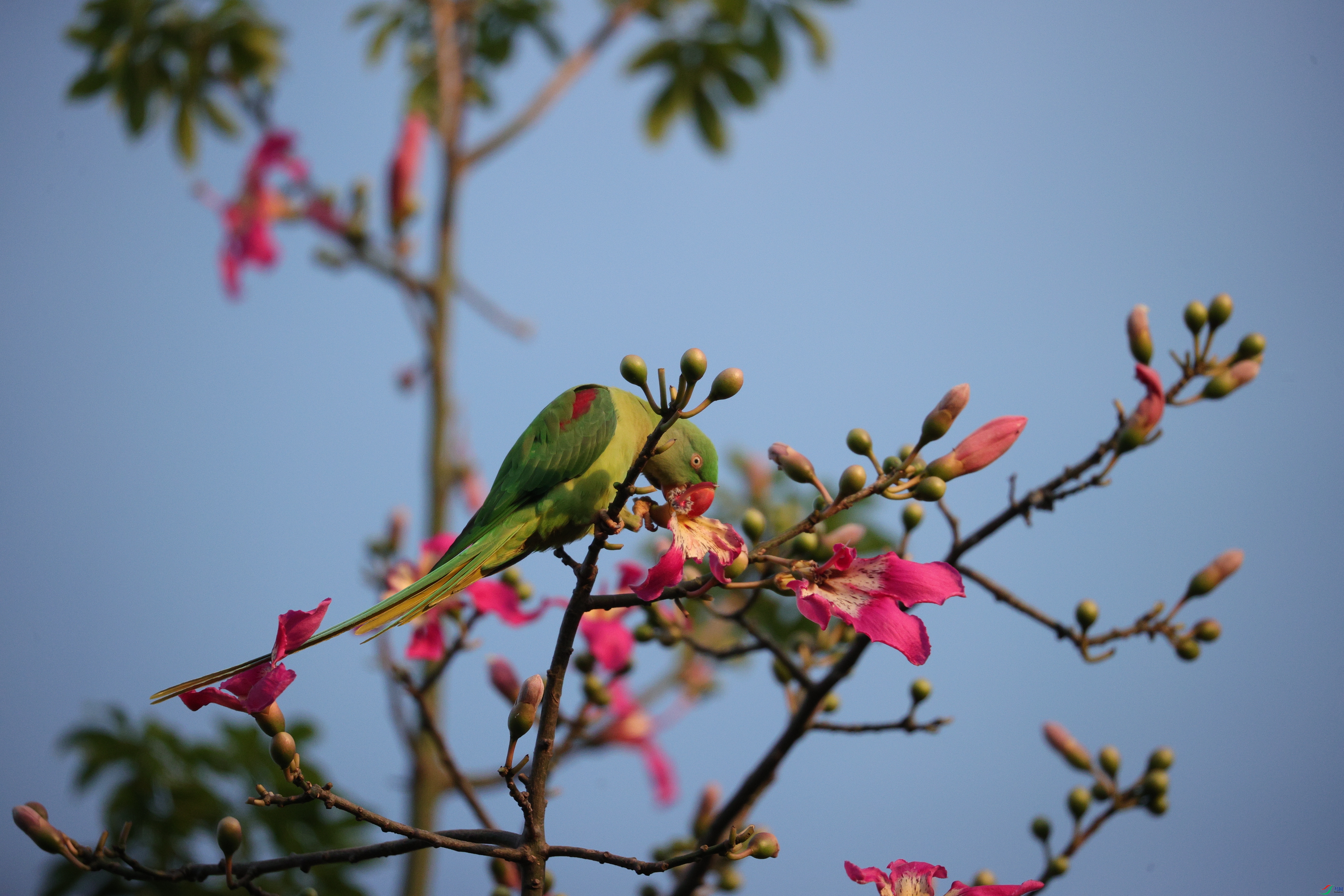 7417��ש����